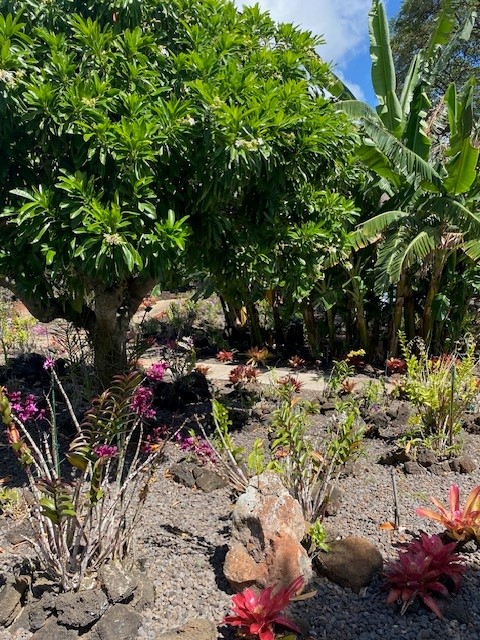 2253 Poipu Road, Unit 207 Koloa, HI 96756 - Photo 22 of 25