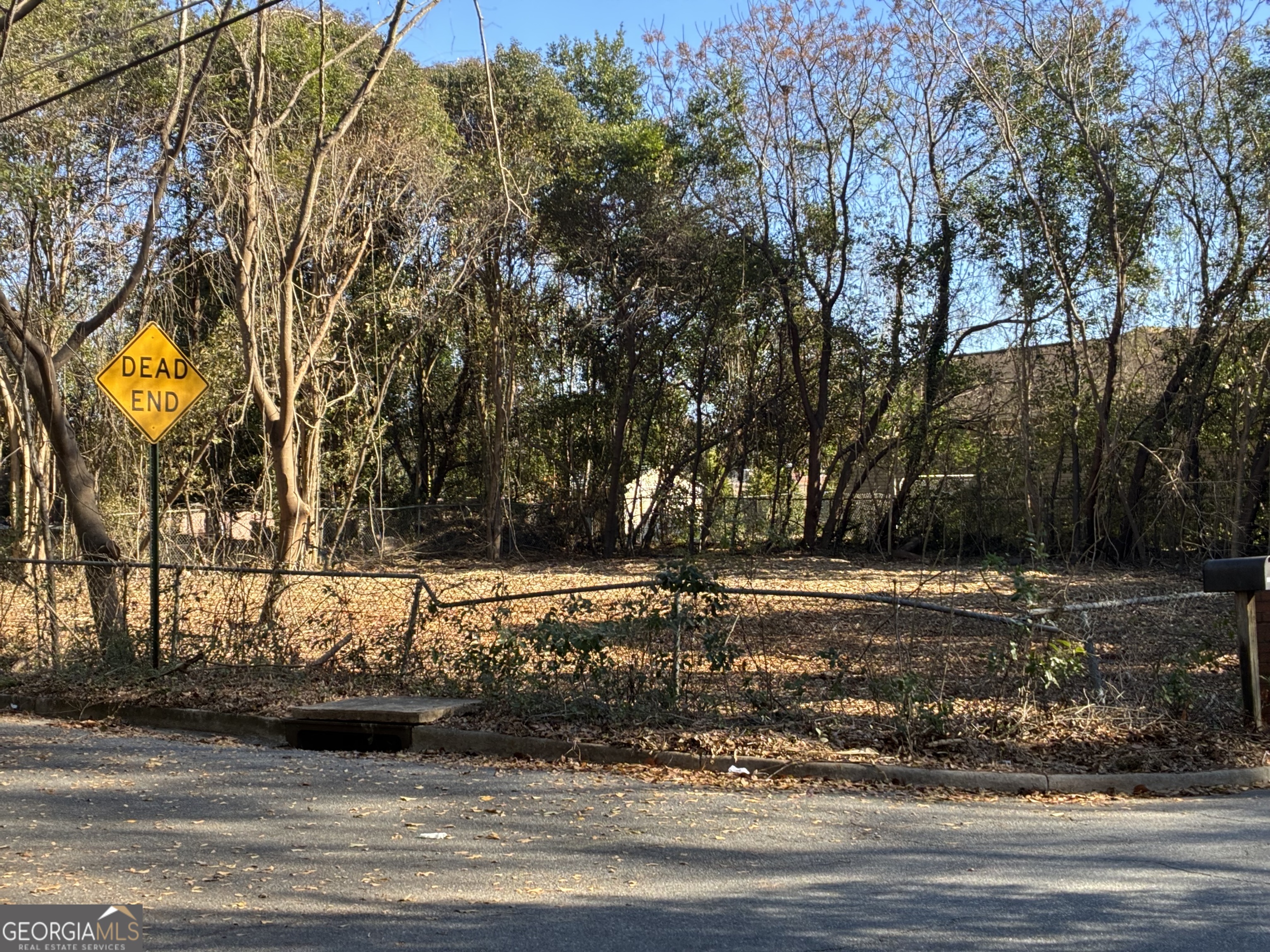 1316 Walls Road Macon, GA 31211 - Photo 4 of 9 a view of a yard and car parked on the side of road