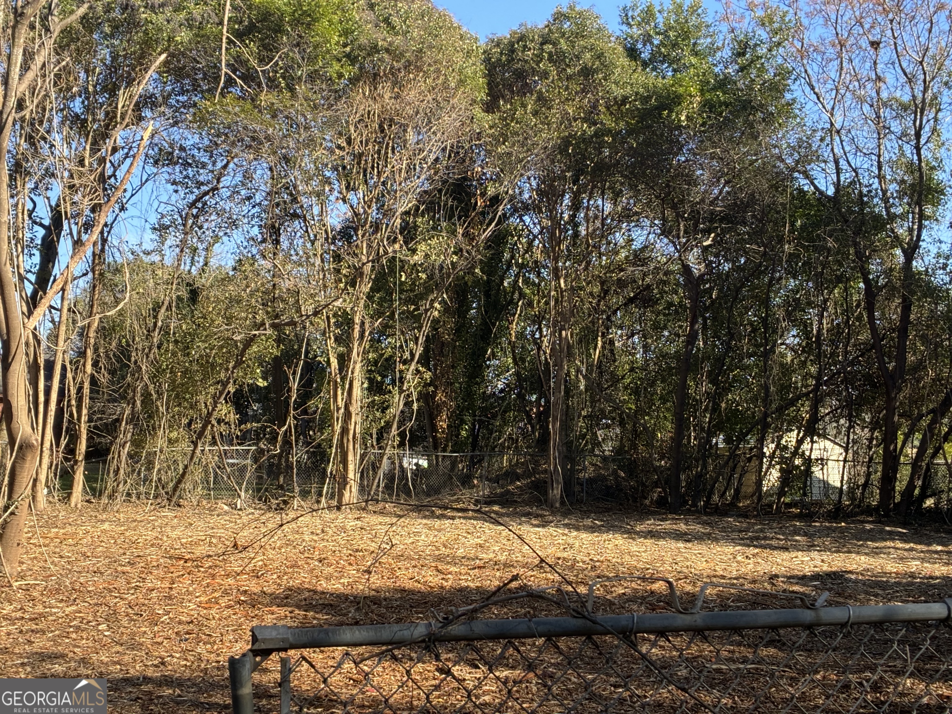 1316 Walls Road Macon, GA 31211 - Photo 7 of 9 a view of a yard with trees