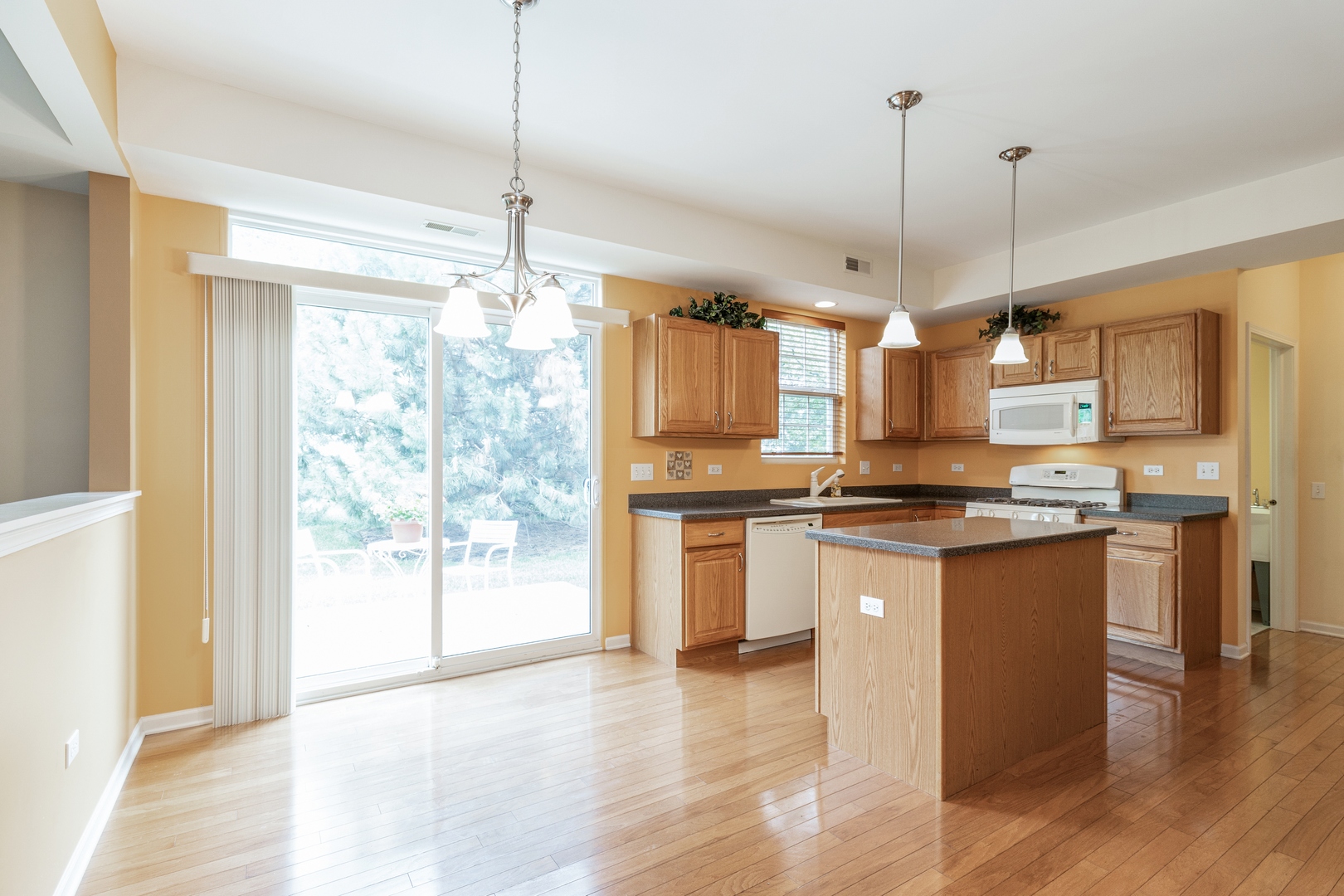 13504 Delaney Road Huntley, IL 60142 - Photo 7 of 14