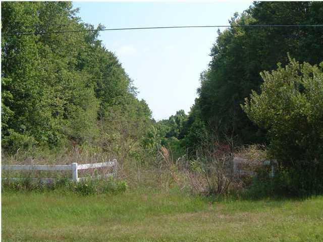 0 Manor Road Hollywood, SC 29449 - Photo 1 of 1 Primary Photo