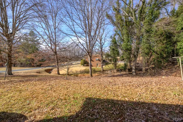 a view of road with large trees