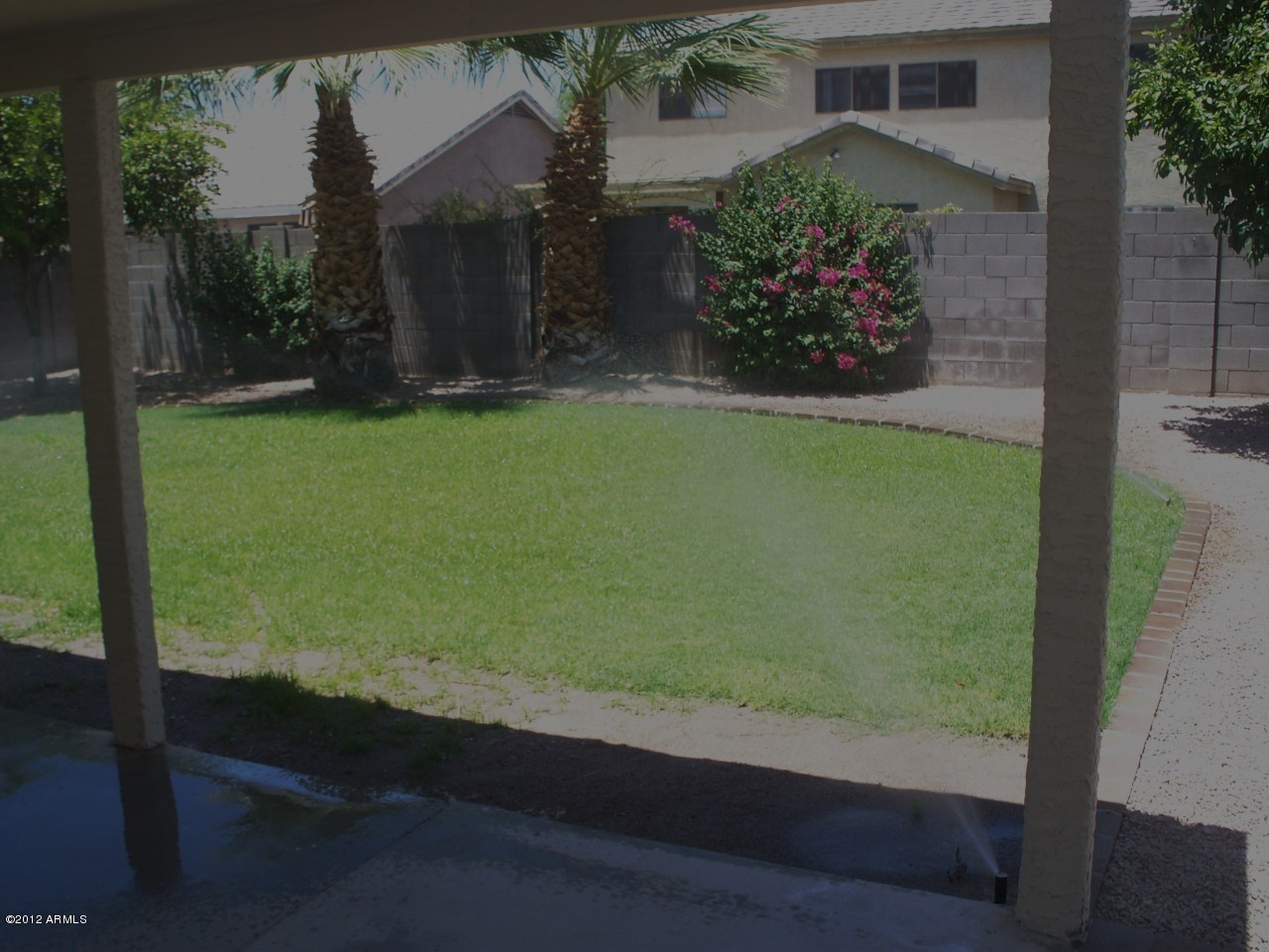 494 West Cotton Lane Gilbert, AZ 85233 - Photo 15 of 20 Backyard