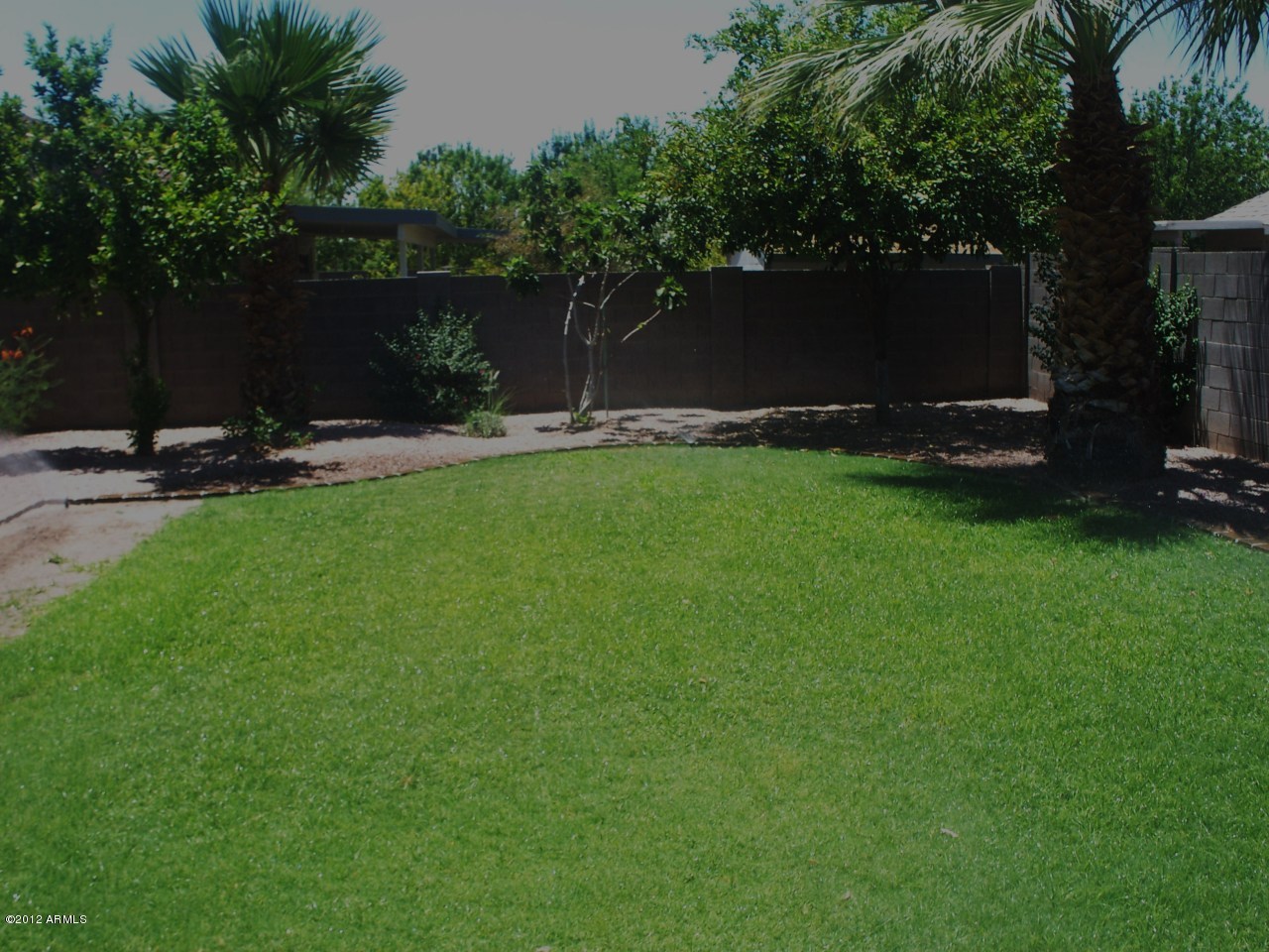 494 West Cotton Lane Gilbert, AZ 85233 - Photo 16 of 20 Backyard