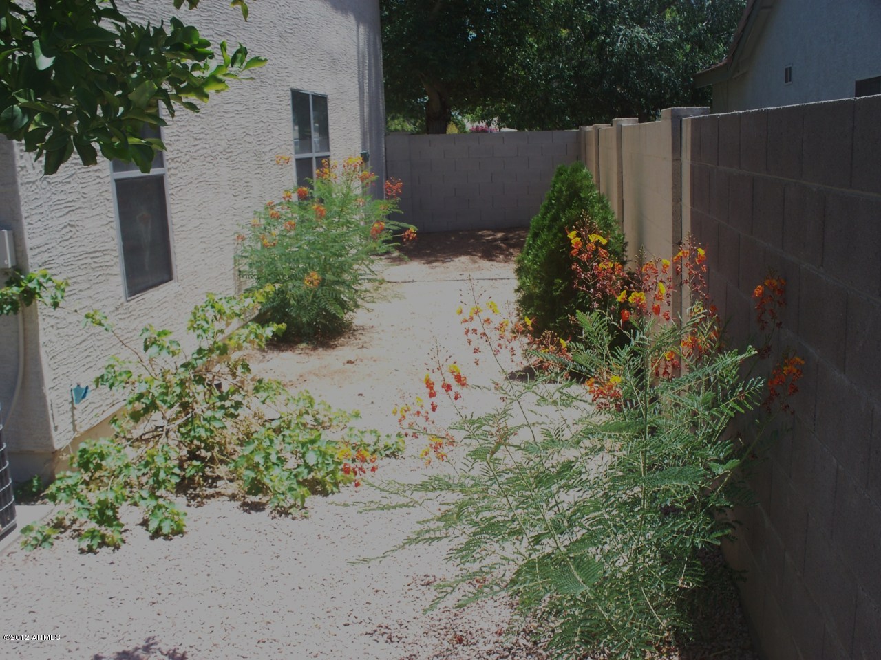 494 West Cotton Lane Gilbert, AZ 85233 - Photo 19 of 20 Backyard-Side of House