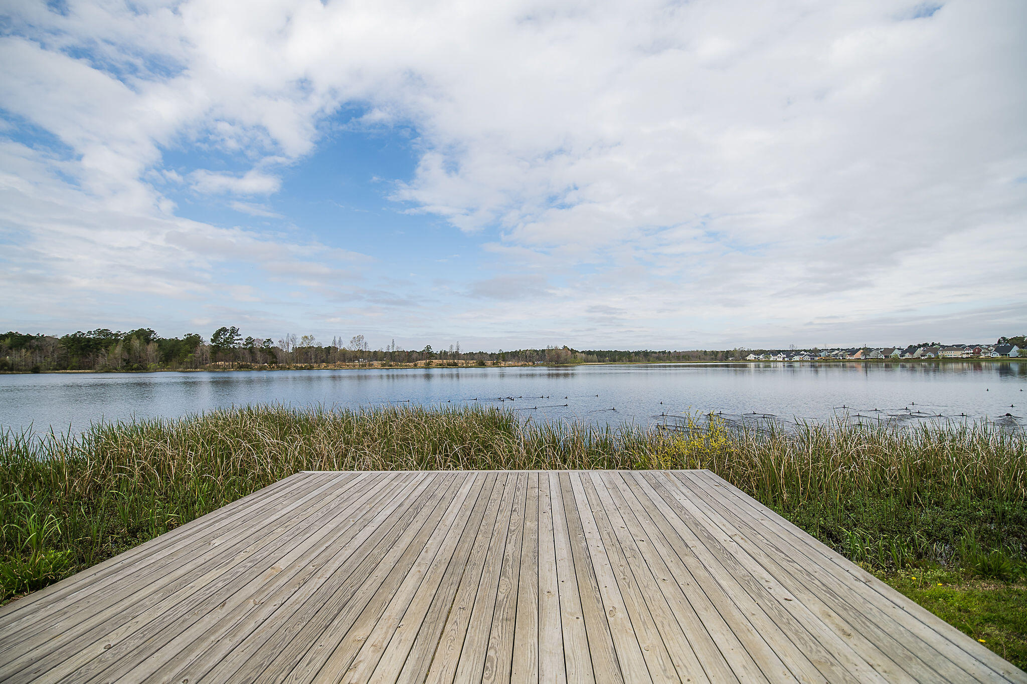 110 Cooks Rest Lane Moncks Corner, SC 29461 - Photo 45 of 49 512-32