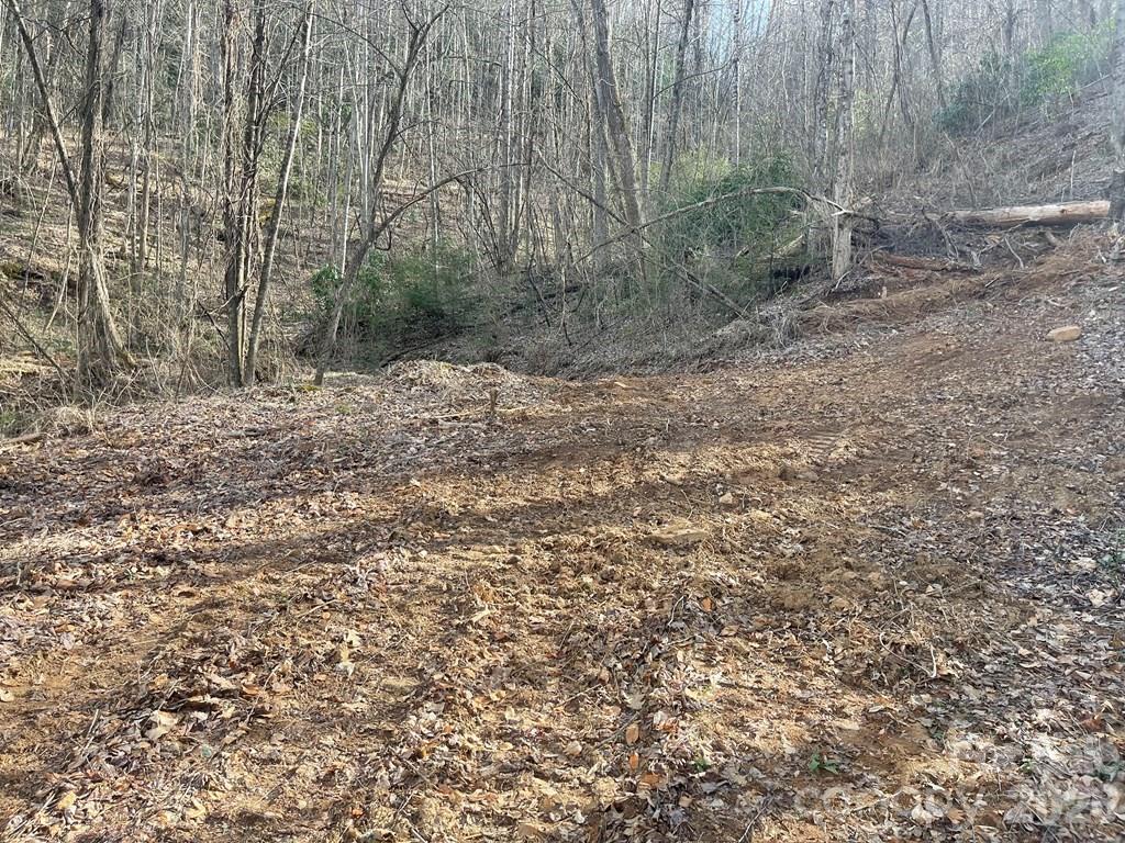 700 Copperhead Cove Road Sylva, NC 28779 - Photo 9 of 23