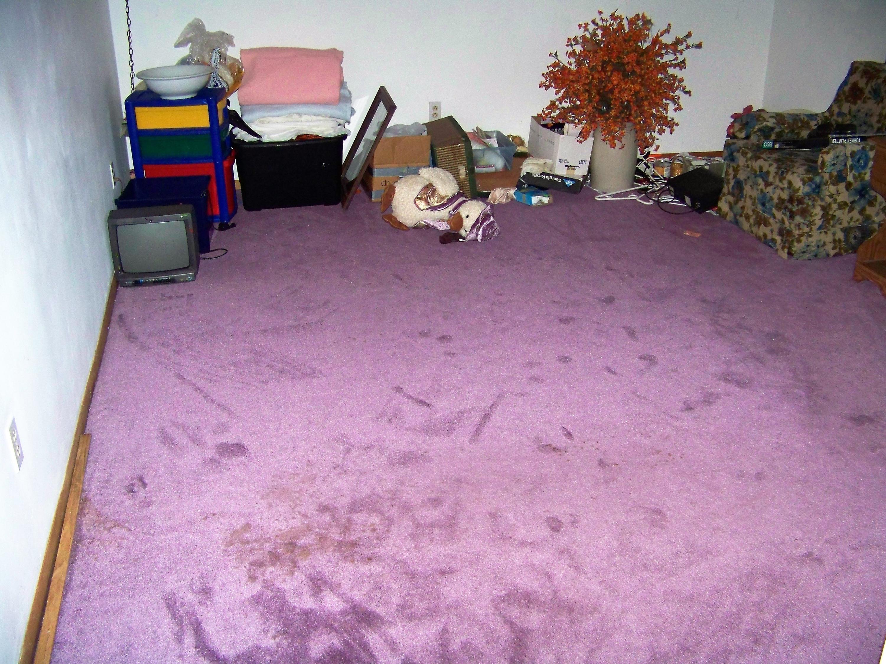 8100 O' Rourke Road Vanderbilt, MI 49795 - Photo 27 of 55 Gallery Image 27