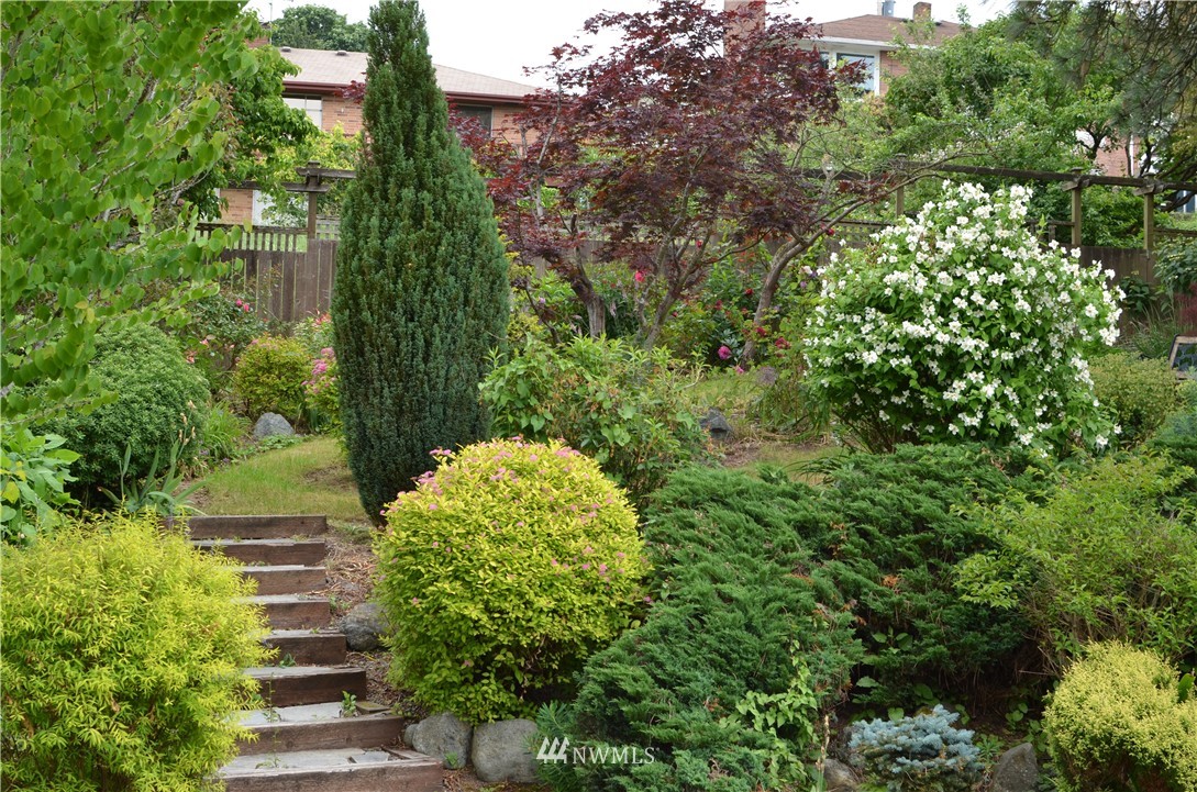 444 Cedar Avenue South Renton, WA 98057 - Photo 20 of 23