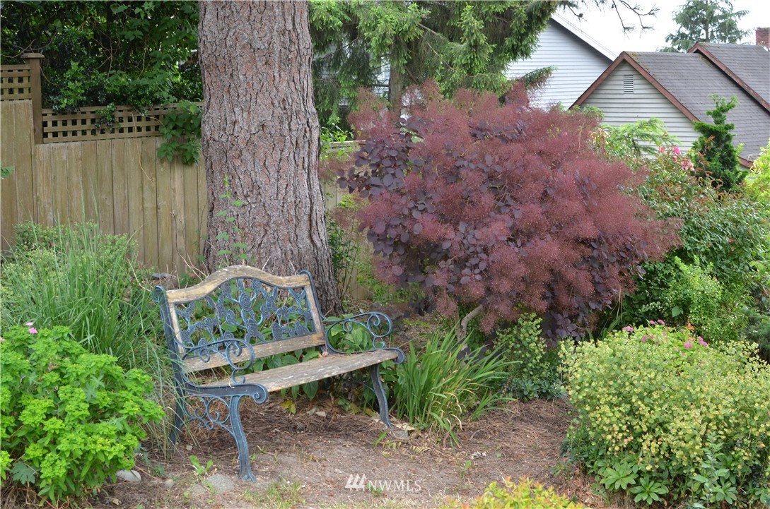 444 Cedar Avenue South Renton, WA 98057 - Photo 5 of 23