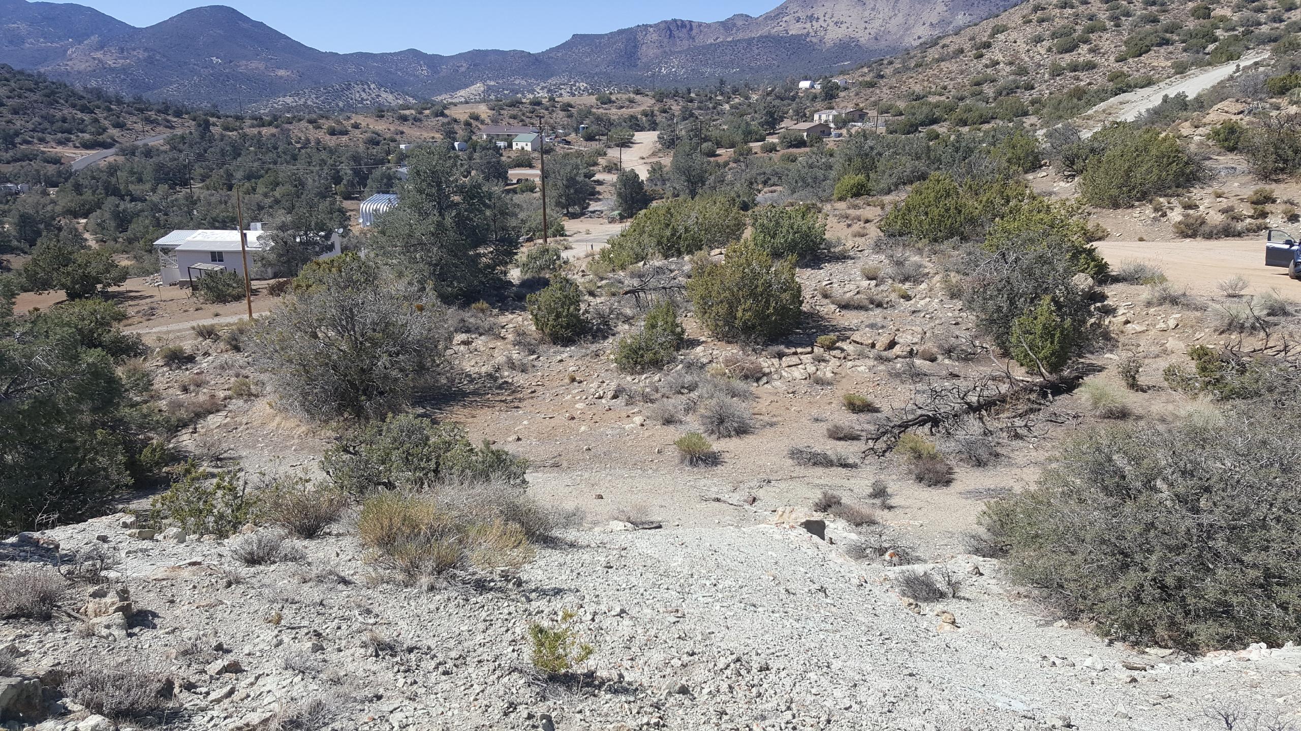 25001 Maverick Court Tehachapi, CA 93561 - Photo 1 of 1 a view of a dry field with lots of bushes