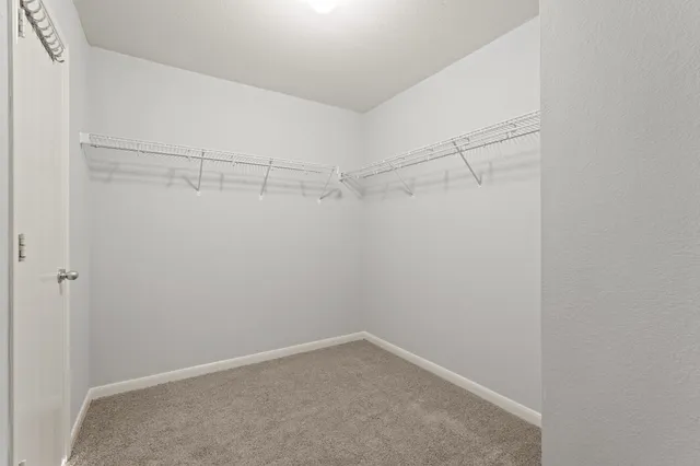 a view of a room with racks on the wall