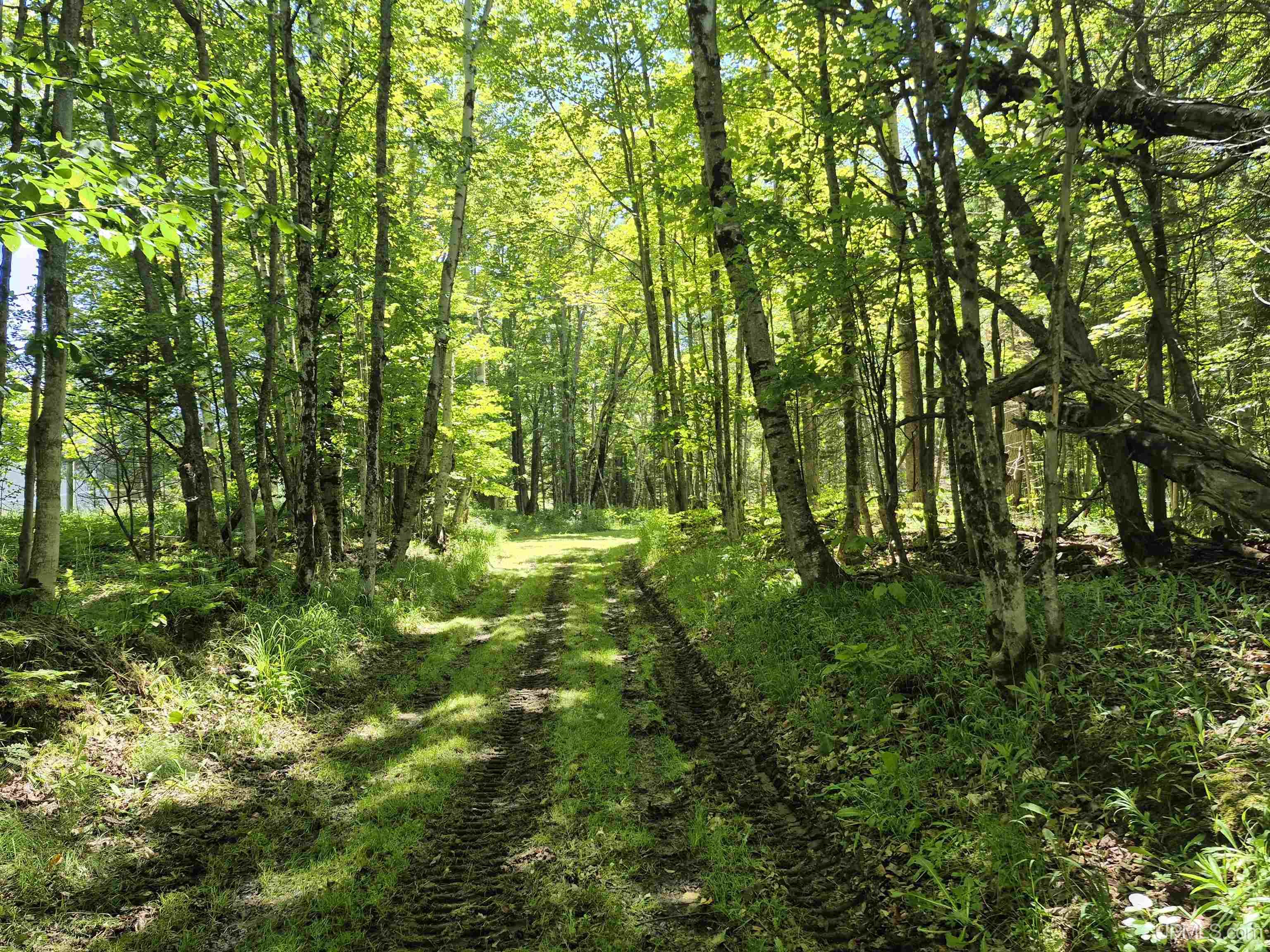 8-acres Nestor Road Munising, MI 49862 - Photo 6 of 43