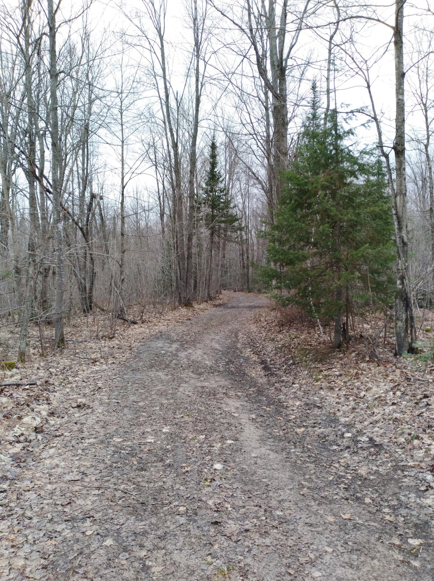 0 East Gogomain Road Pickford, MI 49774 - Photo 11 of 17 Gallery Image 11