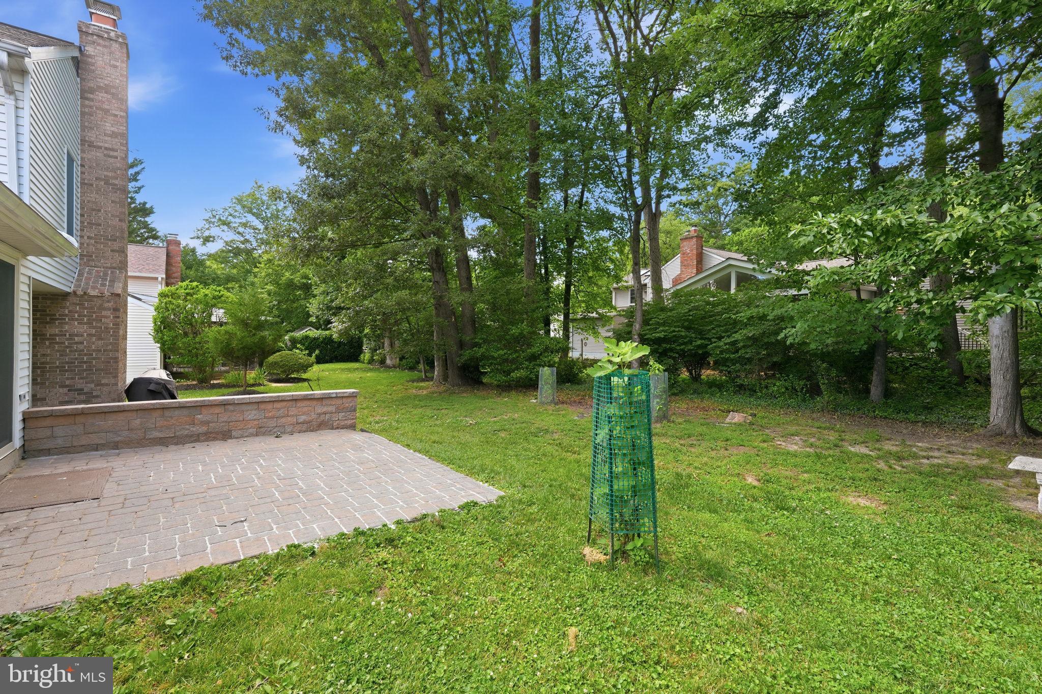 6017 Misty Arch Run Columbia, MD 21044 - Photo 32 of 39 Lush green retreat in a serene setting.