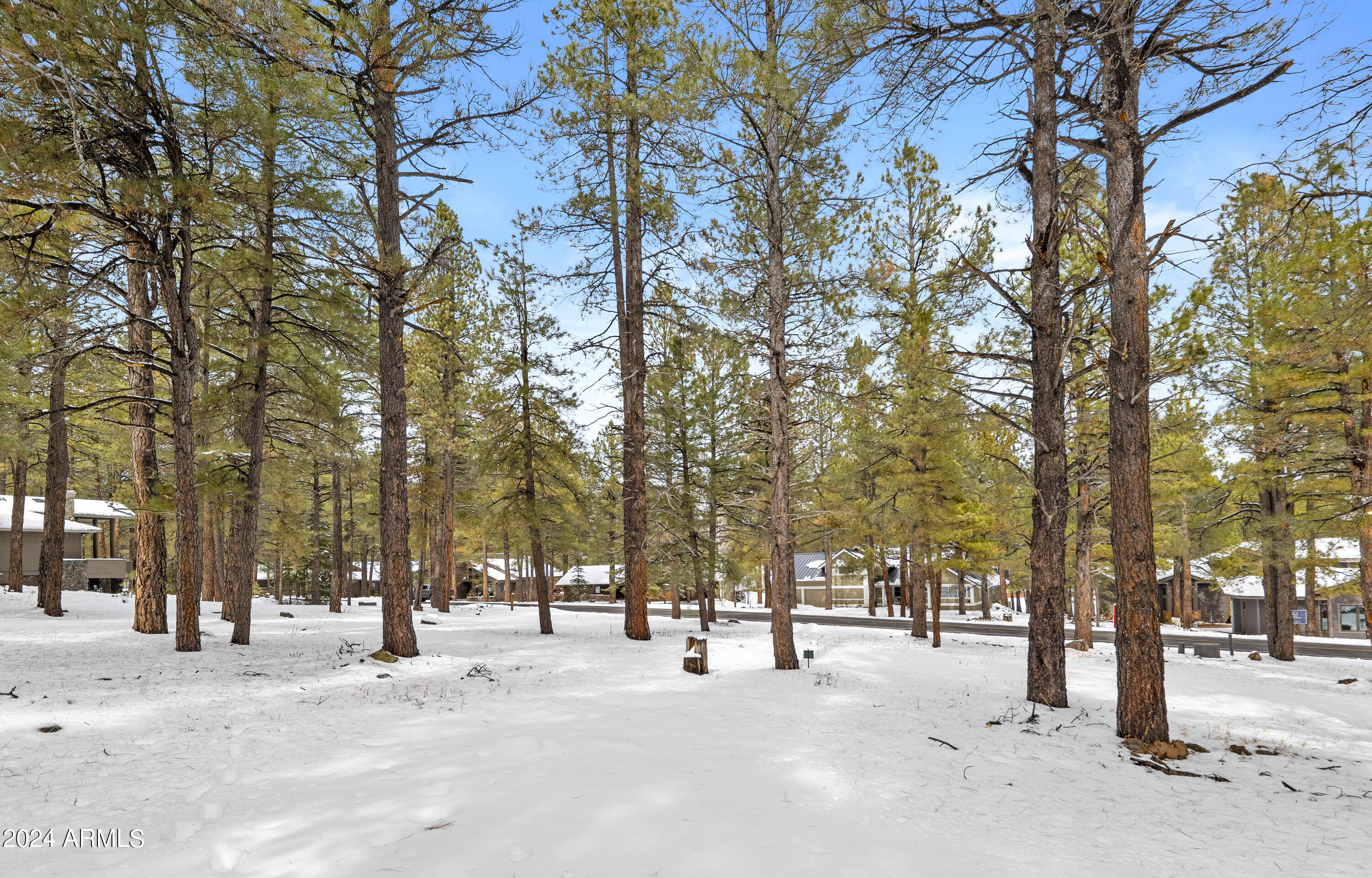 5817 Griffiths Spring, Unit 34 Flagstaff, AZ 86005 - Photo 12 of 13 P1022936