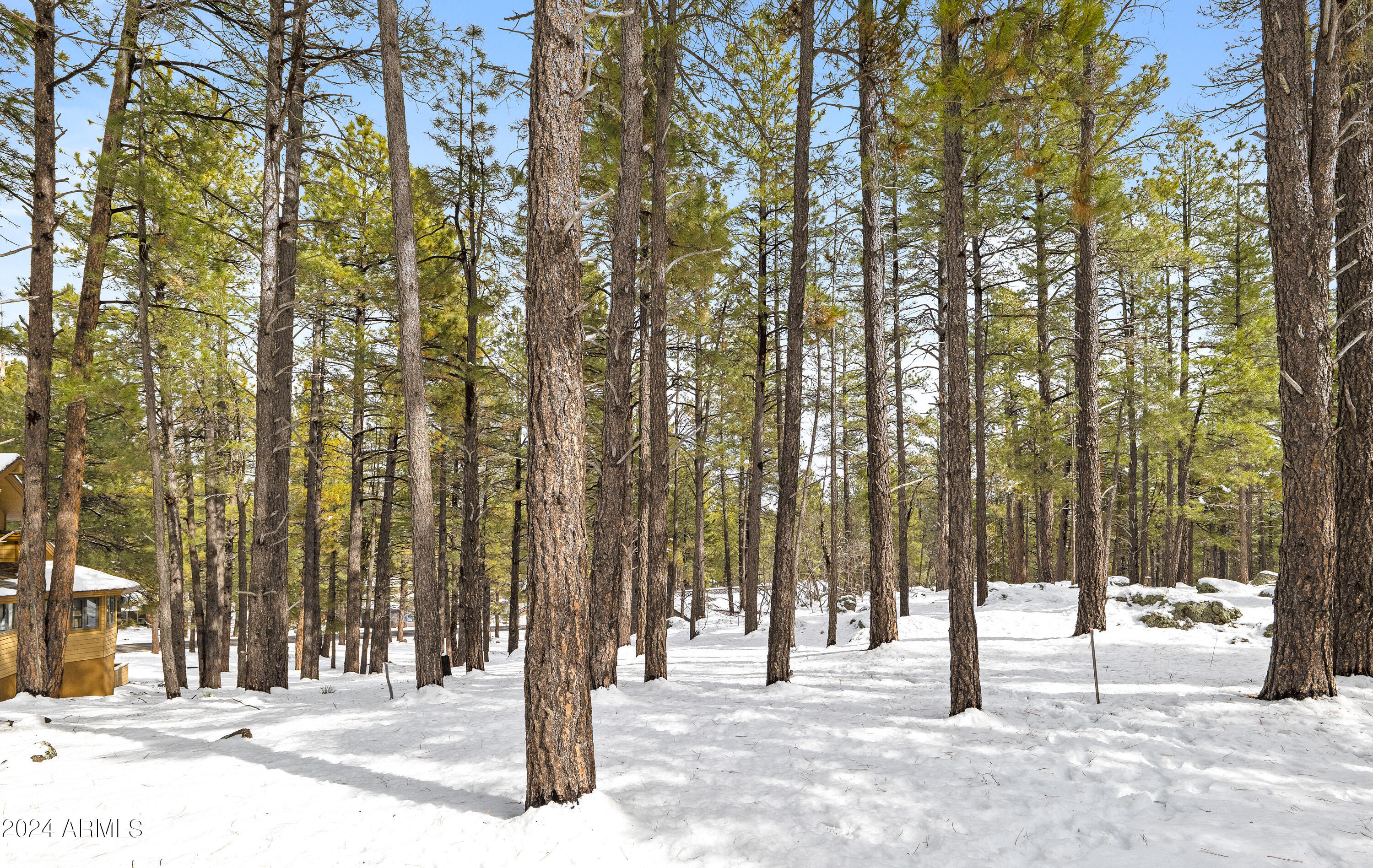 5817 Griffiths Spring, Unit 34 Flagstaff, AZ 86005 - Photo 13 of 13 P1022946