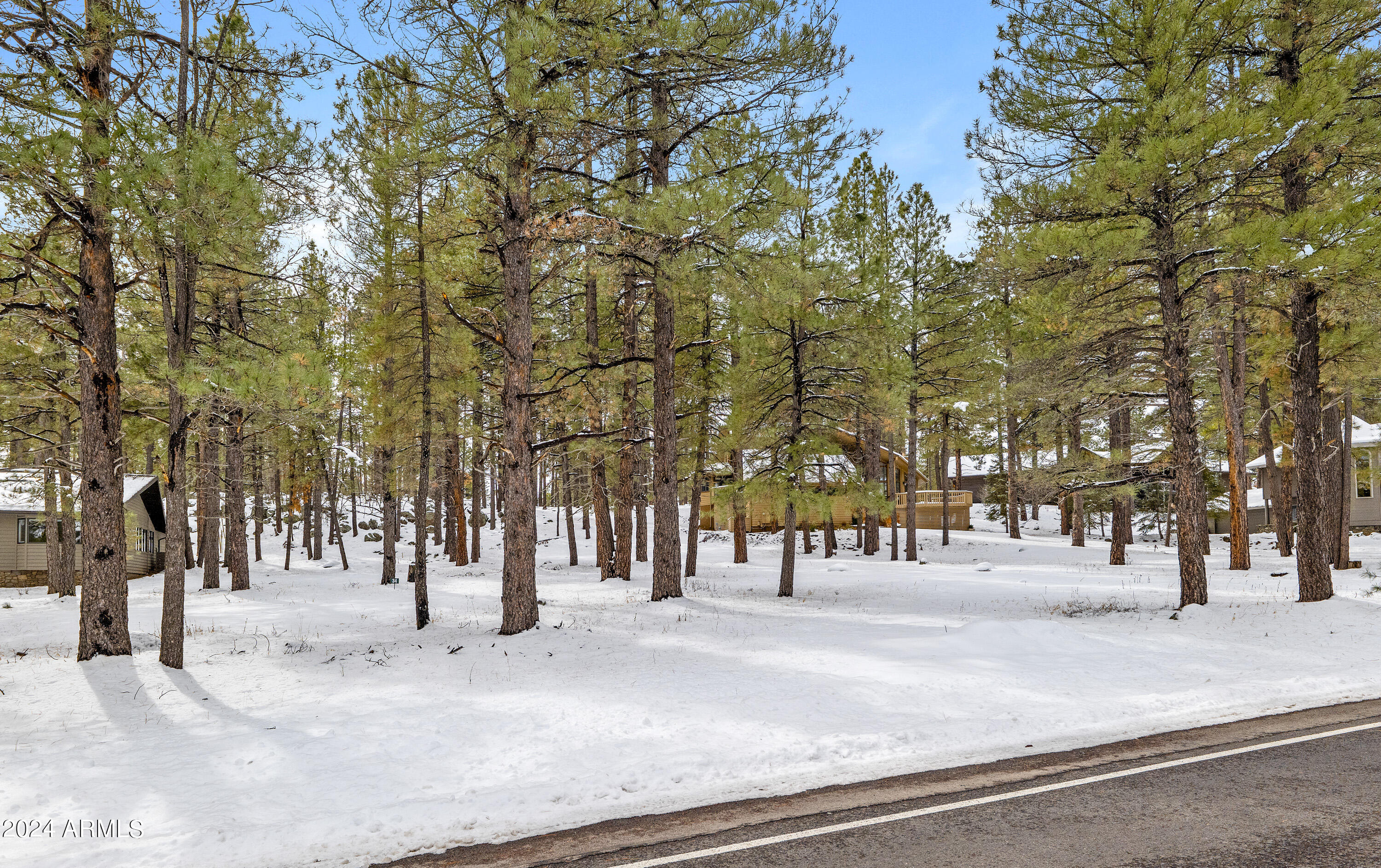5817 Griffiths Spring, Unit 34 Flagstaff, AZ 86005 - Photo 6 of 13 P1022870