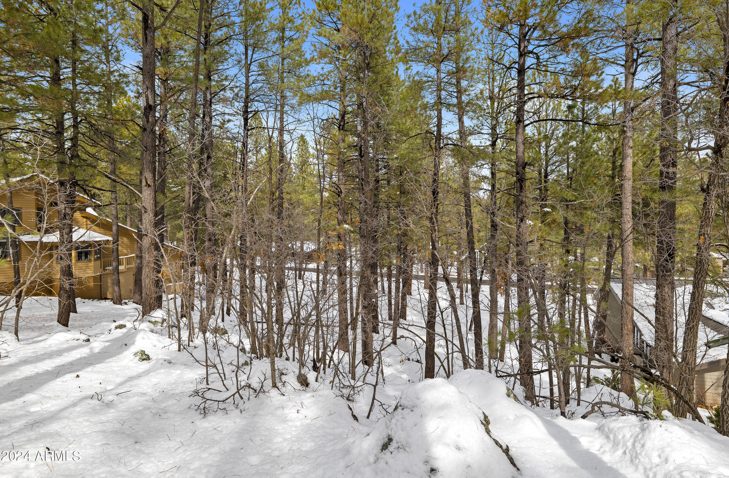 5817 Griffiths Spring, Unit 34 Flagstaff, AZ 86005 - Photo 7 of 13 P1022895