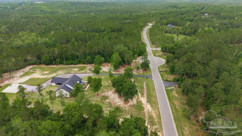 7368 Buffalo Ridge Road Pace, FL 32571 - Photo 42 of 53
