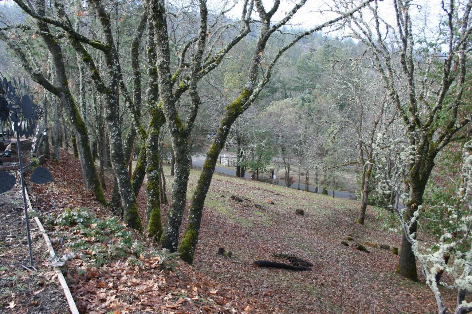2800 Old Military Road Central Point, OR 97502 - Photo 16 of 21 16