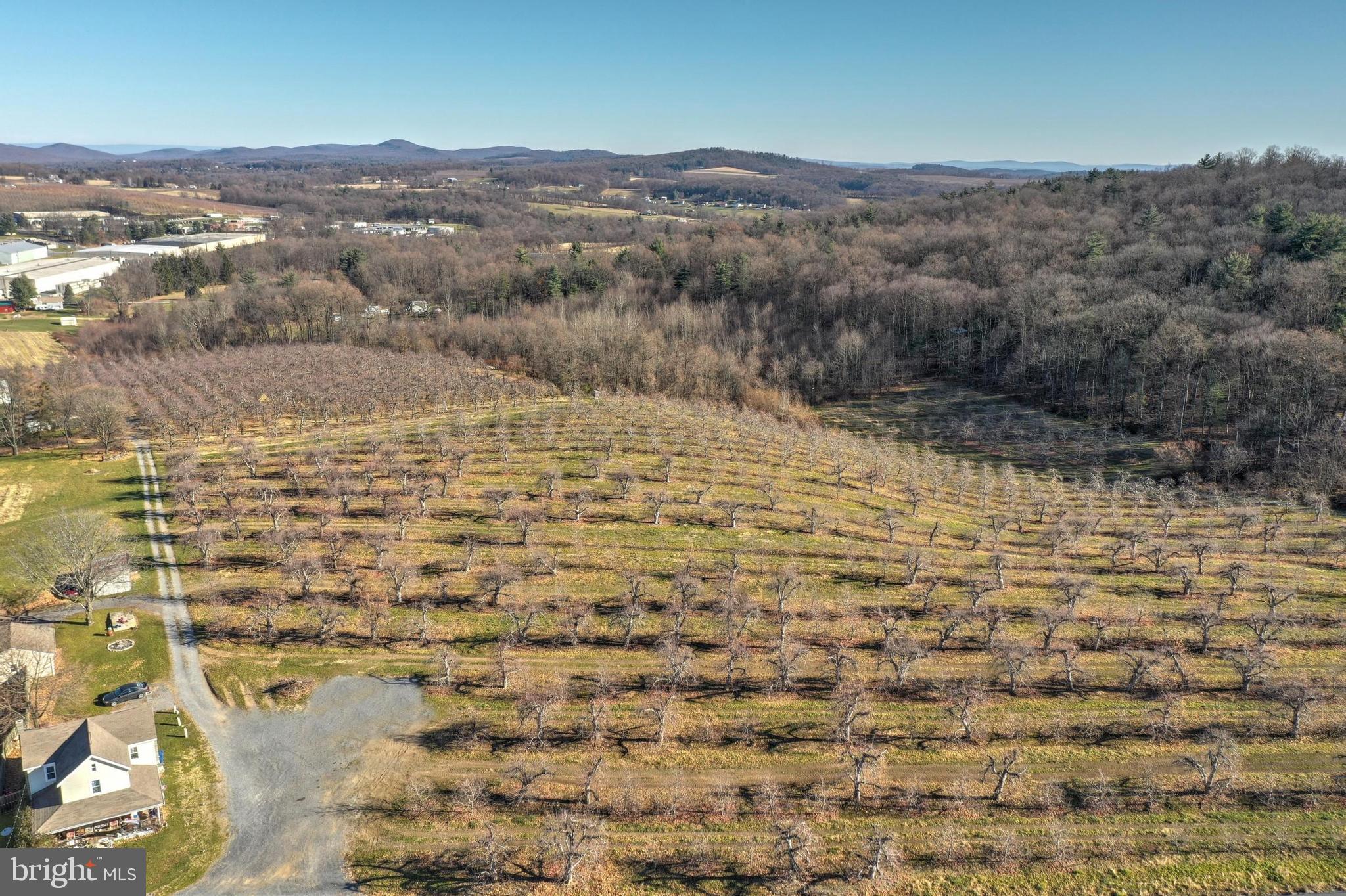 Big Hill Road Gardners, PA 17324 - Photo 4 of 18 Beautiful views to the northeast