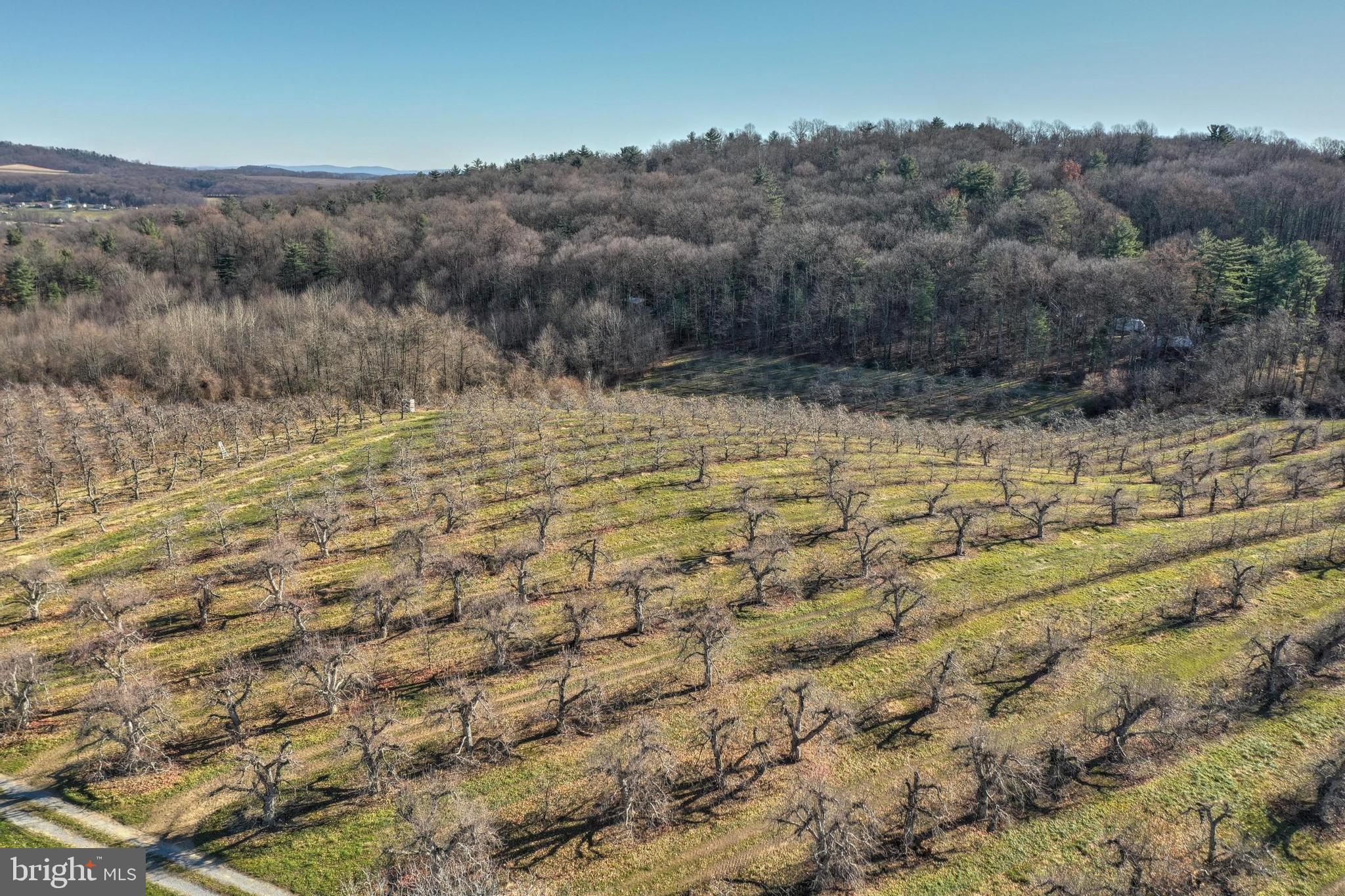 Big Hill Road Gardners, PA 17324 - Photo 8 of 18 Gallery Image 8