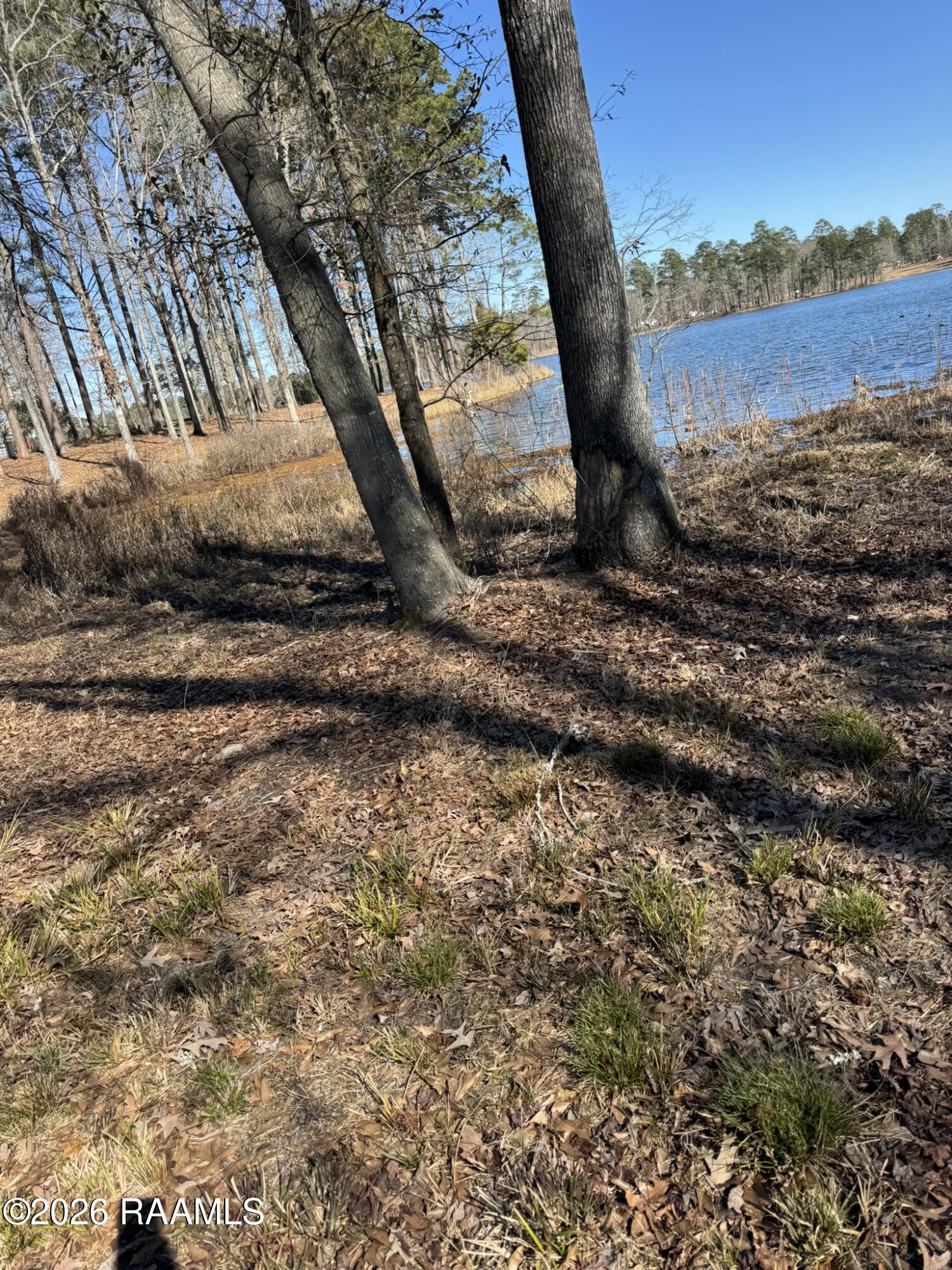 Lot 12 Ramsey Road Chatham, LA 71226 - Photo 2 of 5