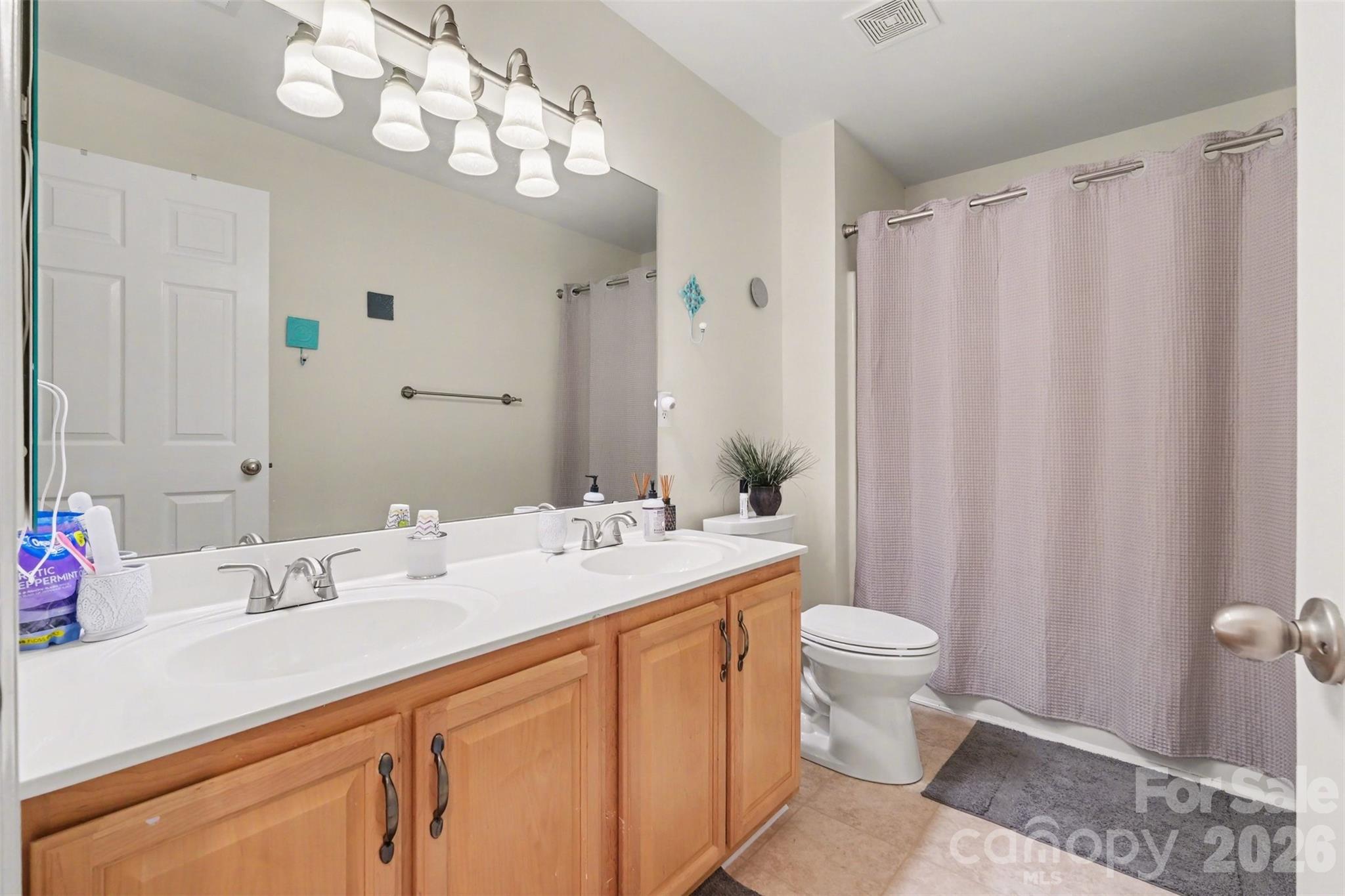 523 Whitehead Court Fort Mill, SC 29708 - Photo 30 of 48 a bathroom with a sink a toilet and a mirror