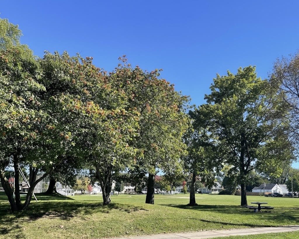 143 Northampton Street Rochester, NY 14606 - Photo 18 of 18 Park