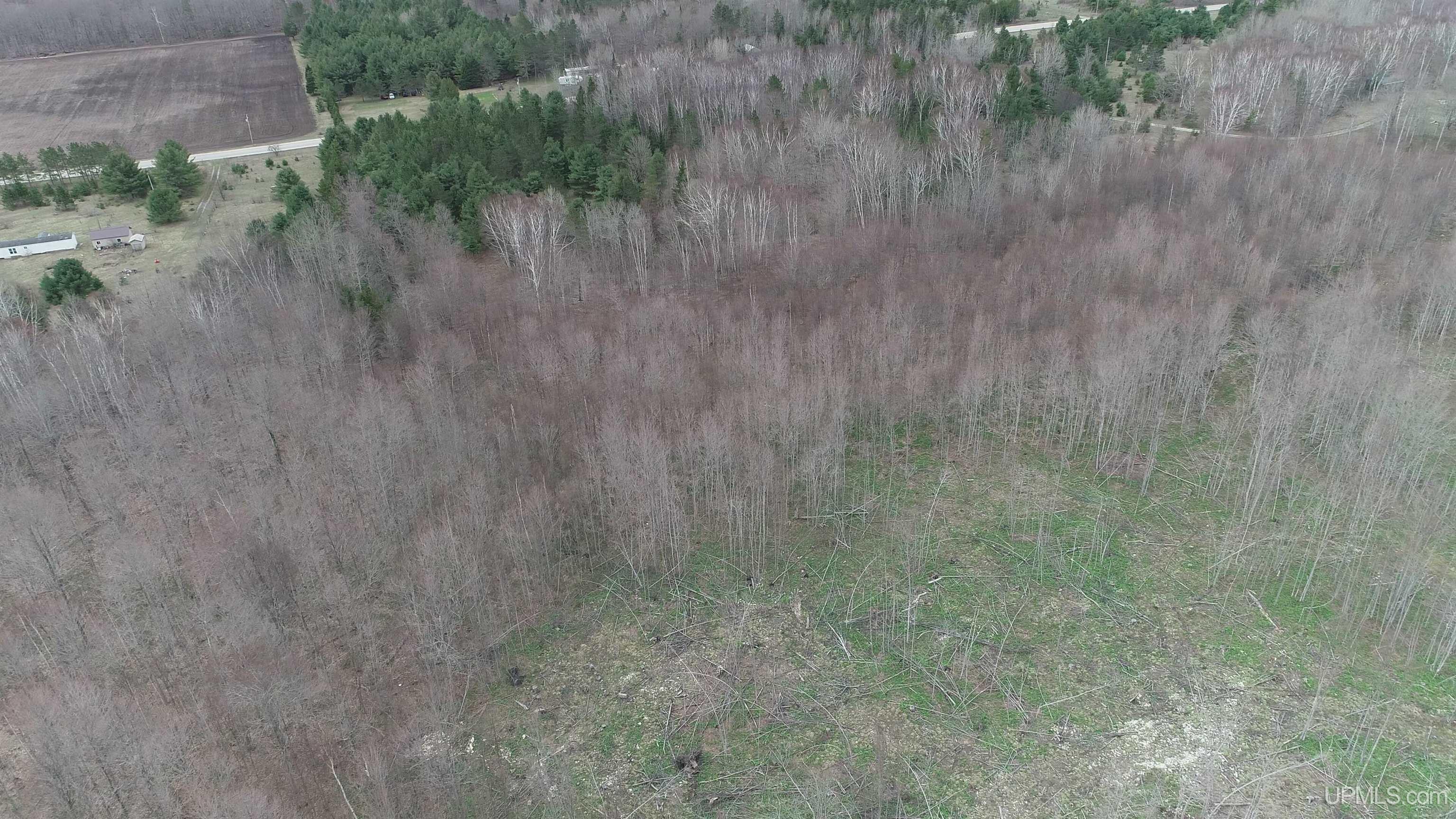 East 20 Quarry Road Gulliver, MI 49840 - Photo 36 of 47