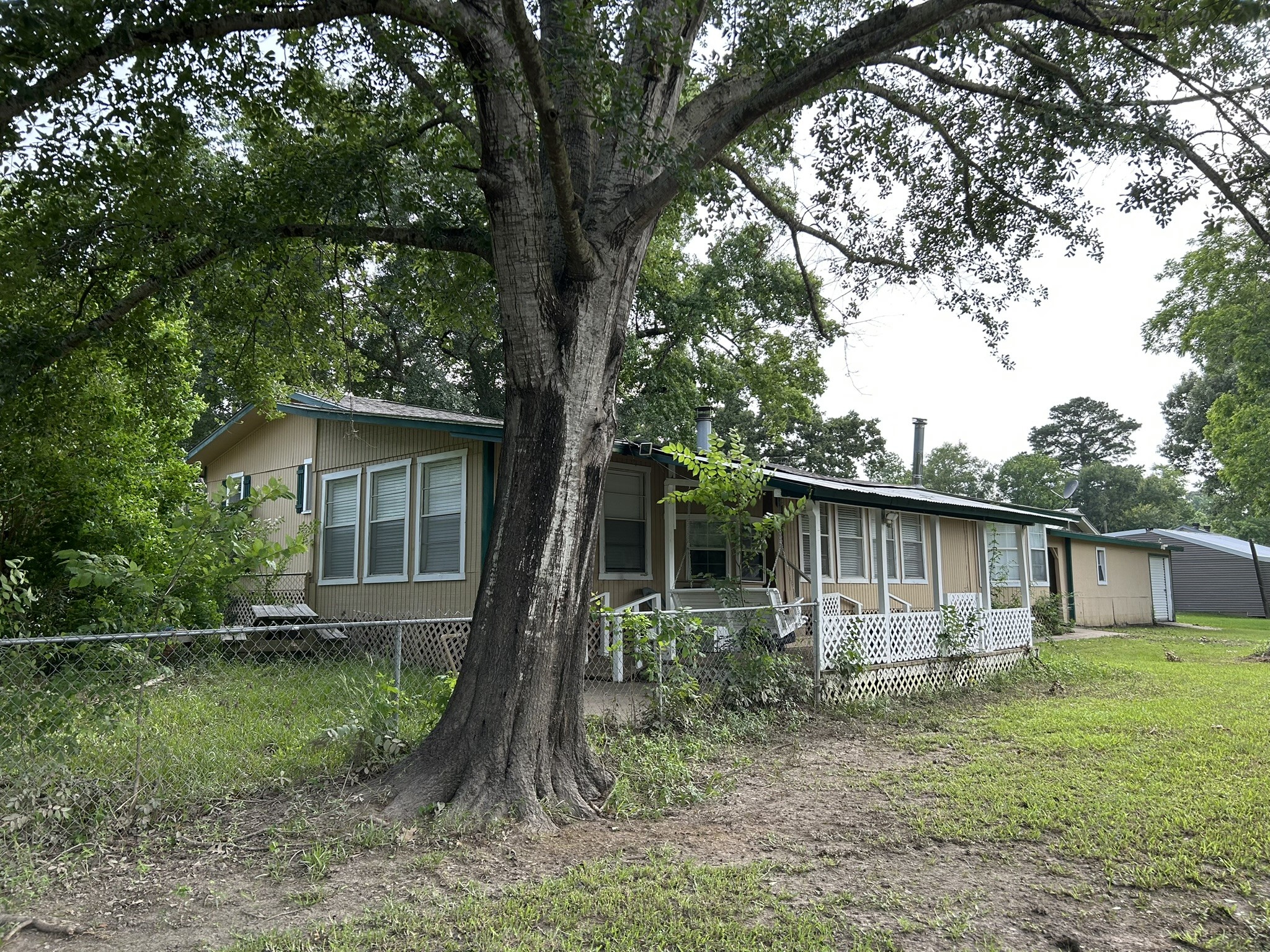 320 Deer Run Road Trinity, TX 75862 - Photo 35 of 50 Mature Shade Trees