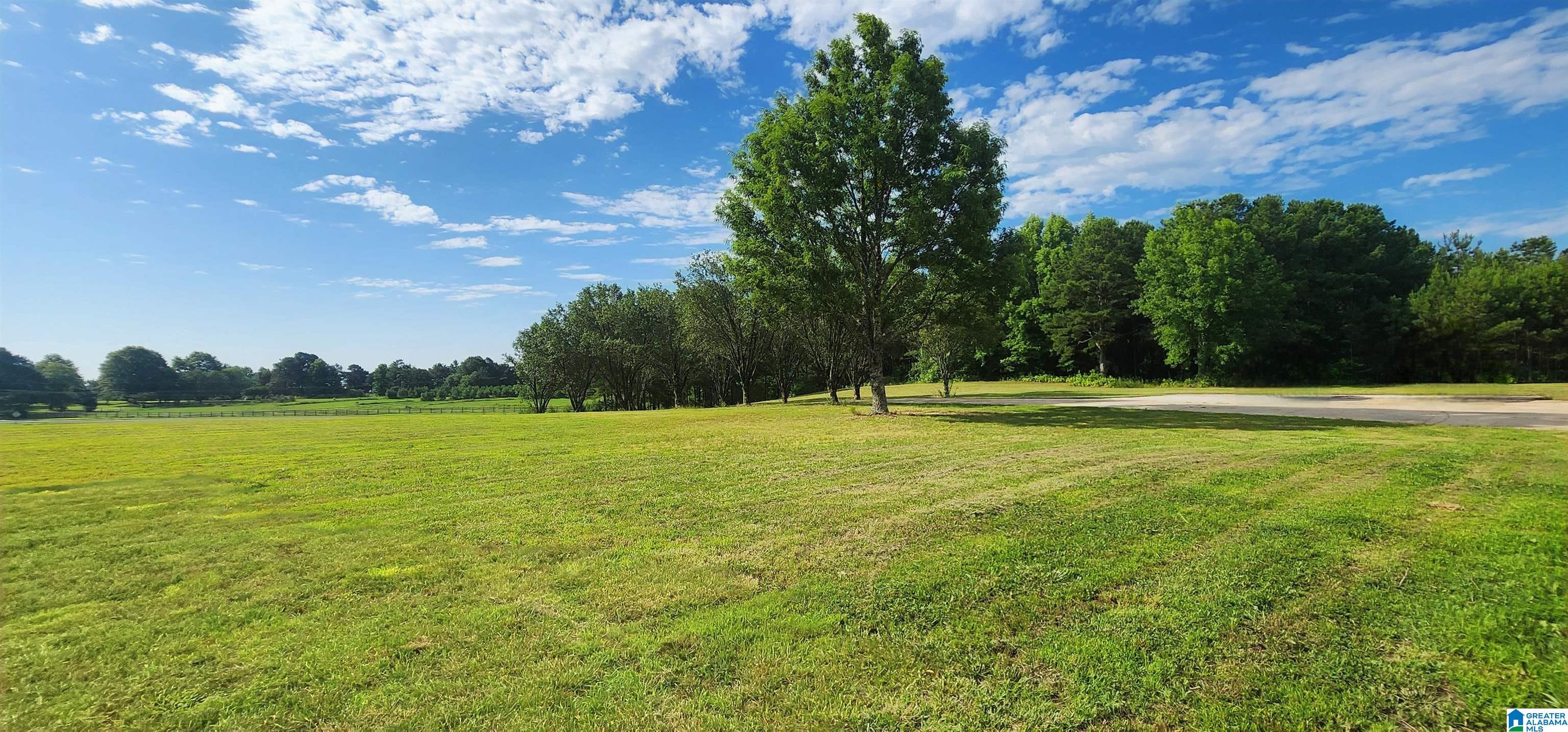 3606 Hicks Road Oneonta, AL 35121 - Photo 8 of 61