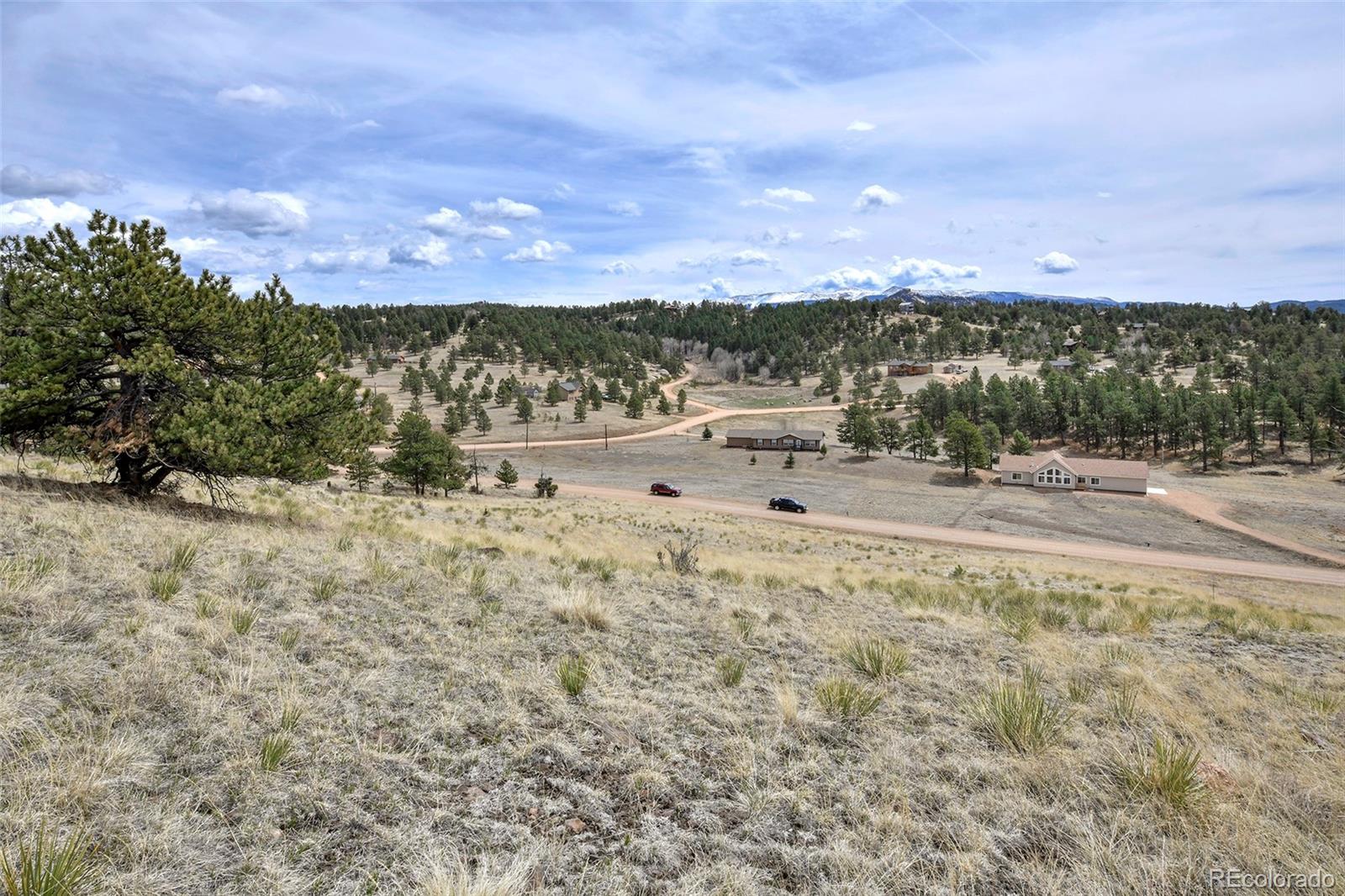 81 High Pasture Road Florissant, CO 80816 - Photo 14 of 26
