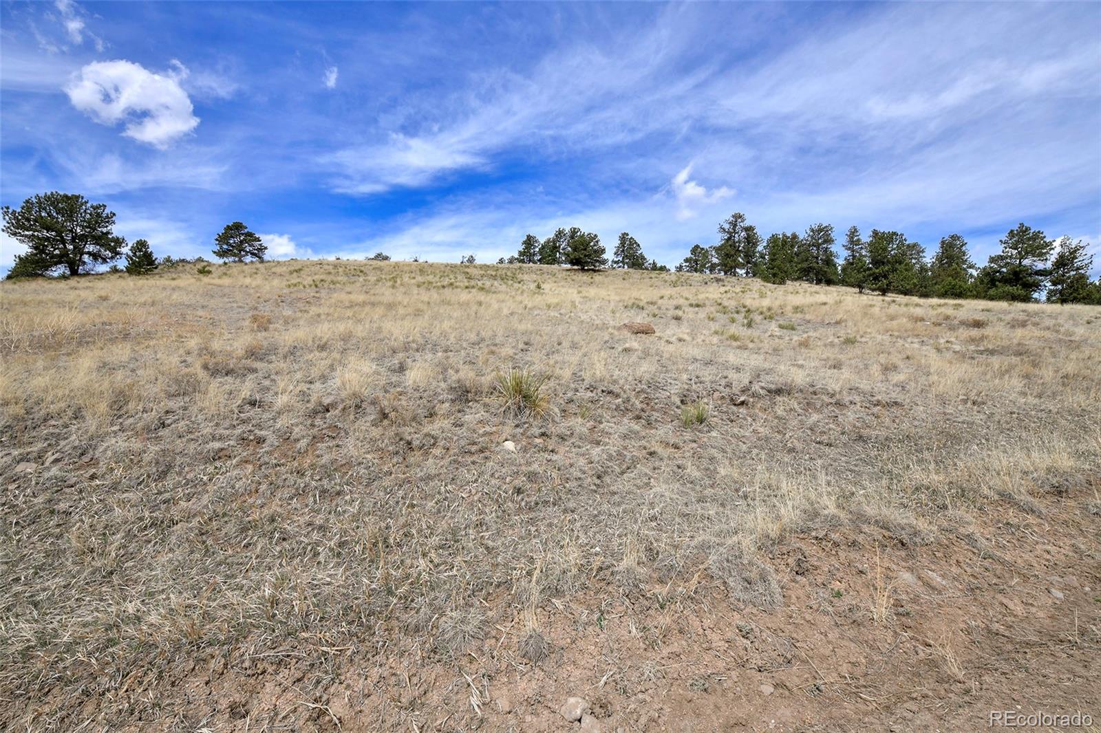 81 High Pasture Road Florissant, CO 80816 - Photo 15 of 26