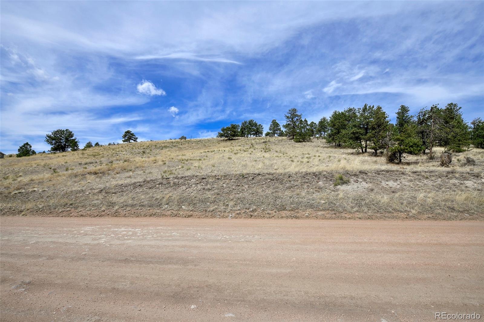 81 High Pasture Road Florissant, CO 80816 - Photo 7 of 26 a view of a dry yard with wooden fence