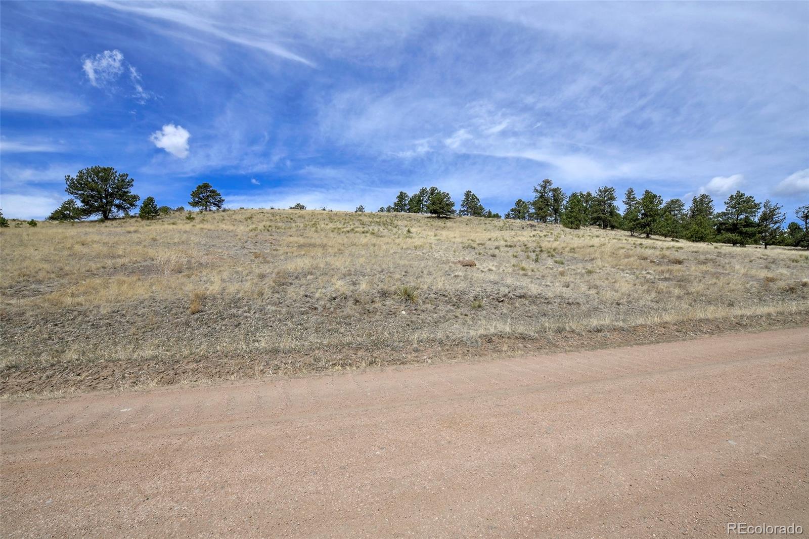 81 High Pasture Road Florissant, CO 80816 - Photo 9 of 26 a view of beach and mountain view
