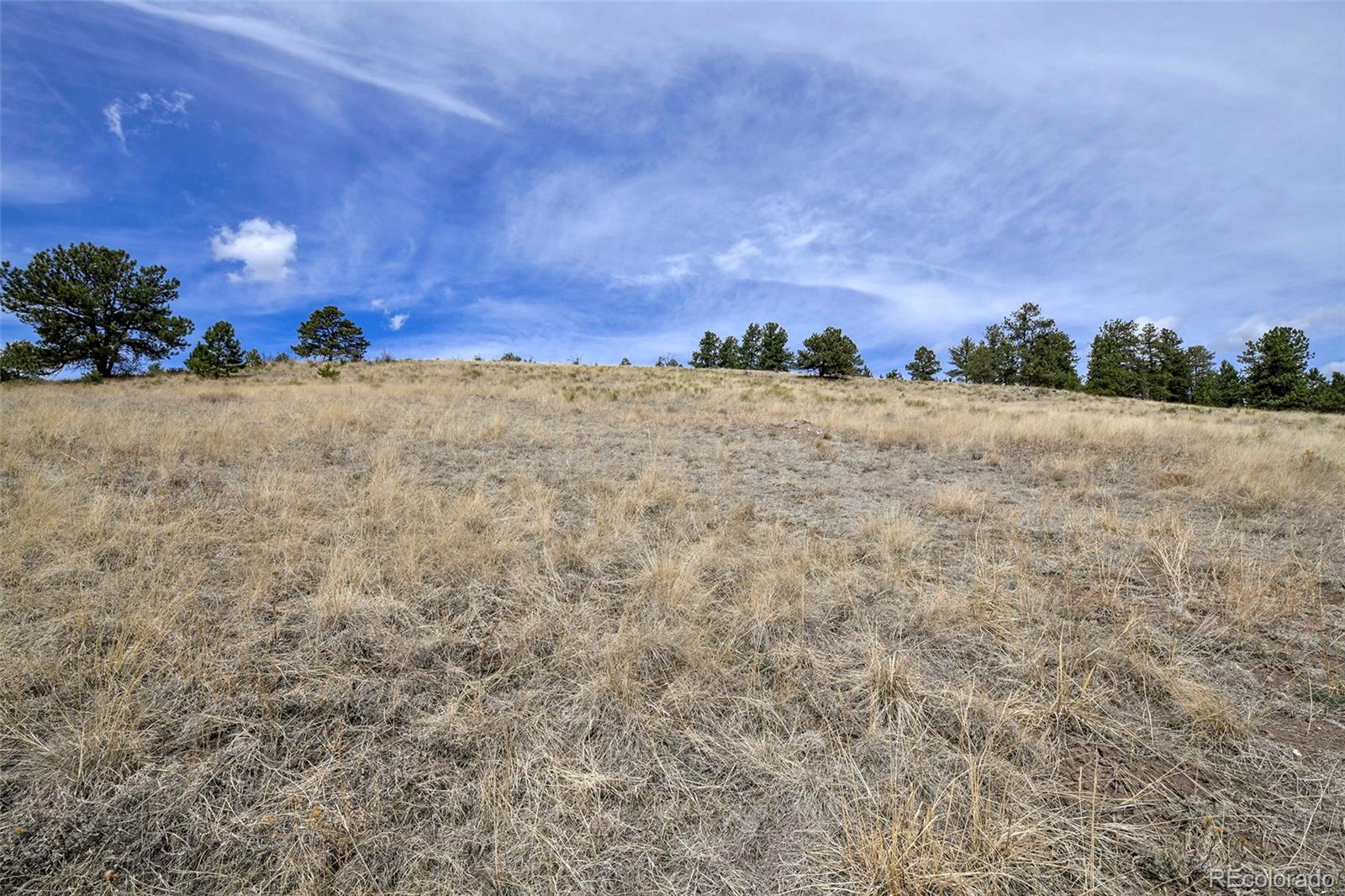 81 High Pasture Road Florissant, CO 80816 - Photo 10 of 26 a view of outdoor space and city view
