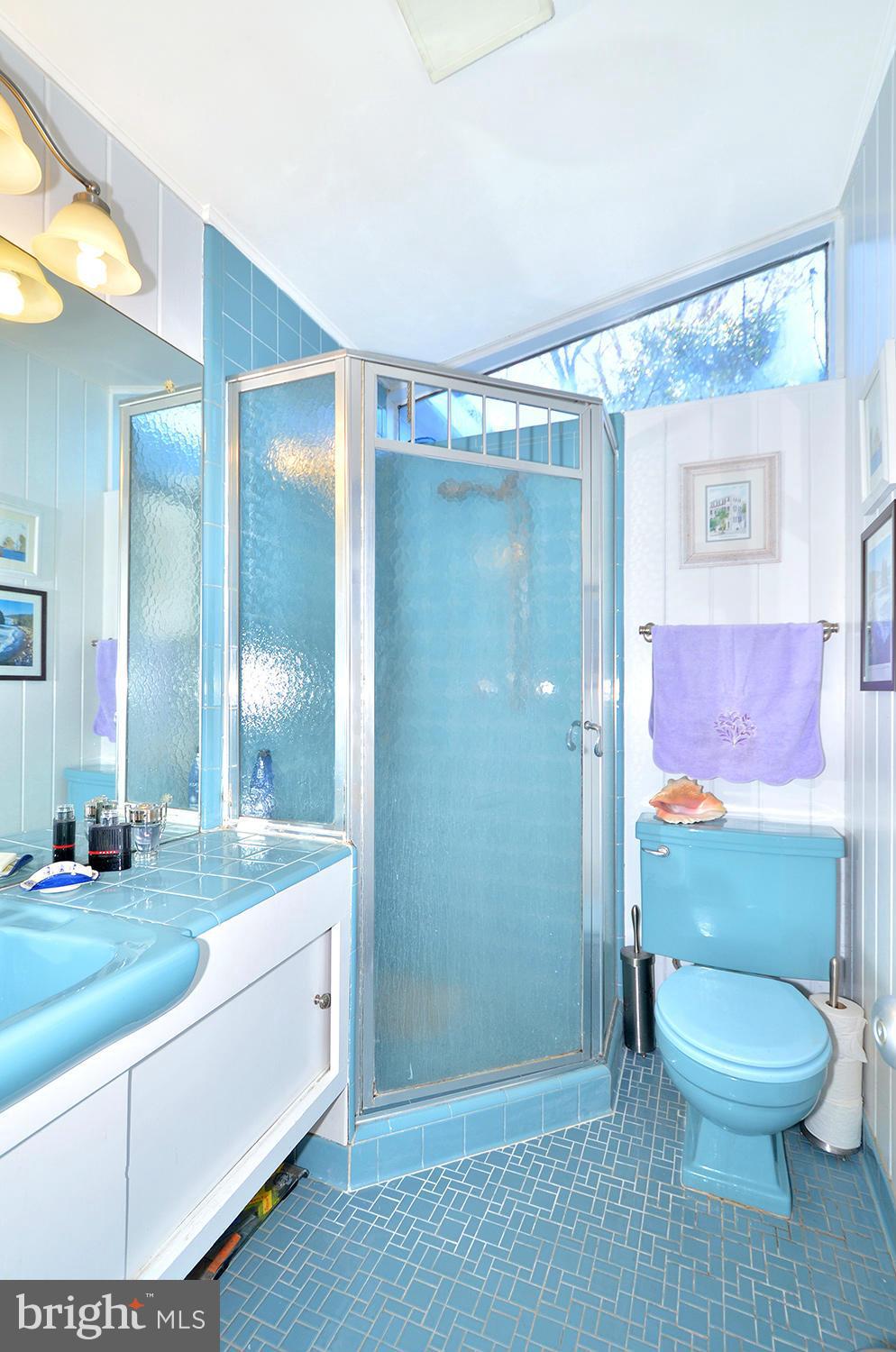 5006 Dalton Road Chevy Chase, MD 20815 - Photo 22 of 30 Bath (Master)