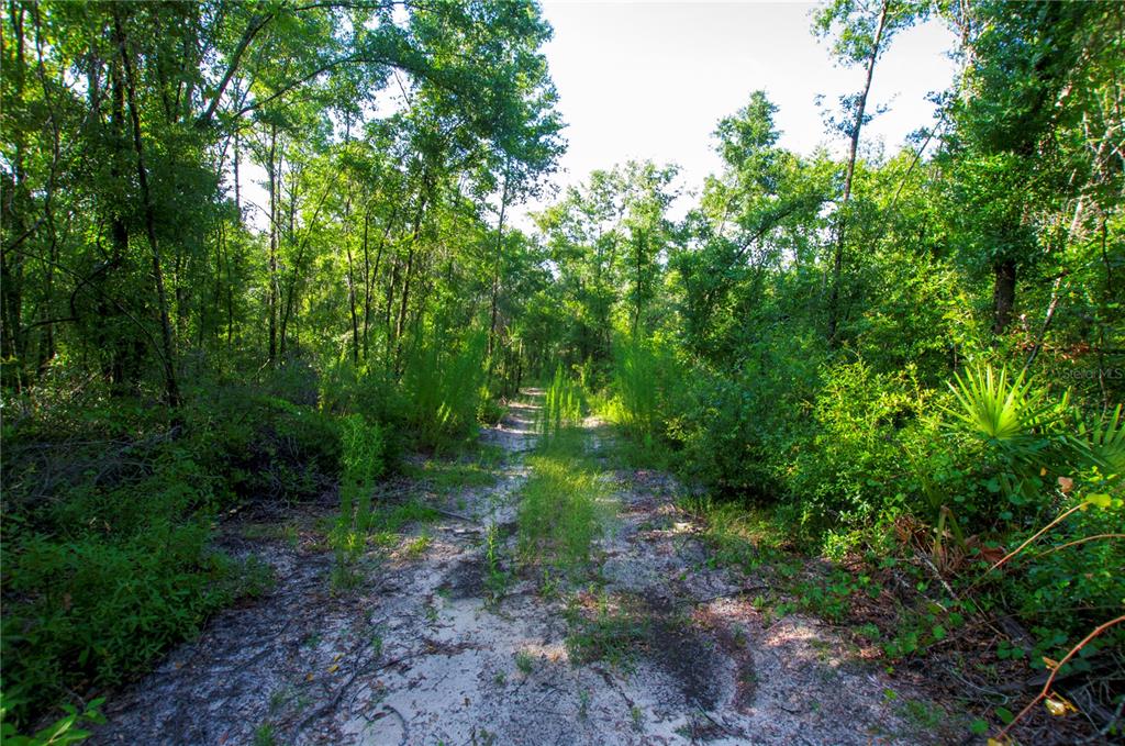 18233 185th Road Live Oak, FL 32060 - Photo 87 of 99 a view of outdoor space and green space