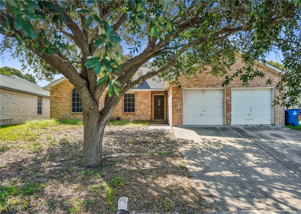 a tree in front of a white house