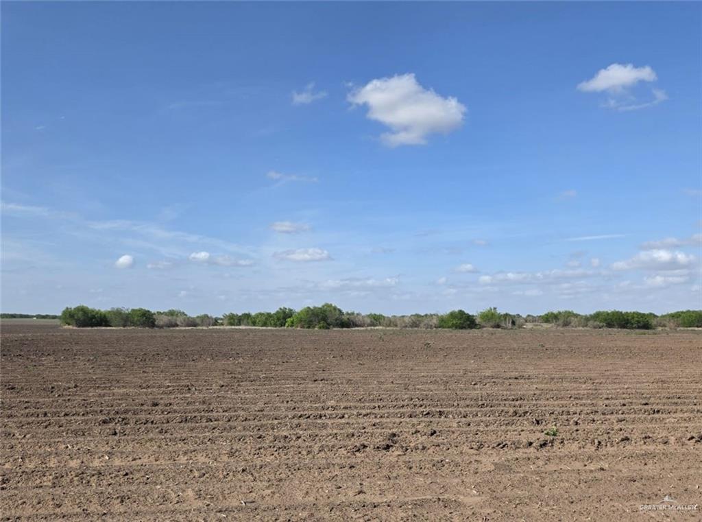 M M 1st Street West Edcouch, TX 78538 - Photo 2 of 8