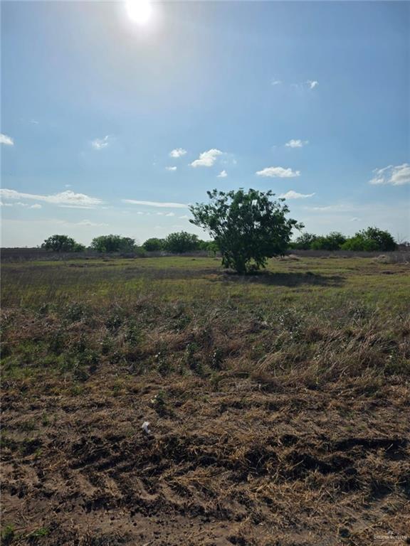 M M 1st Street West Edcouch, TX 78538 - Photo 3 of 8