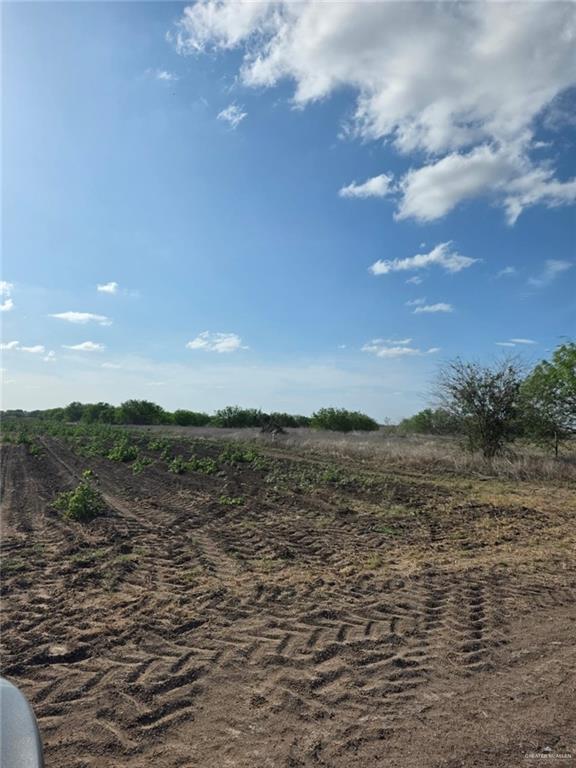 M M 1st Street West Edcouch, TX 78538 - Photo 4 of 8