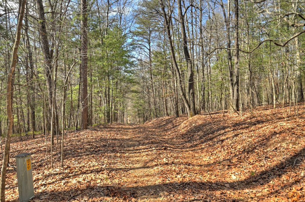 331 Chestnut Gap Road Blue Ridge, GA 30513 - Photo 42 of 44 Gallery Image 42