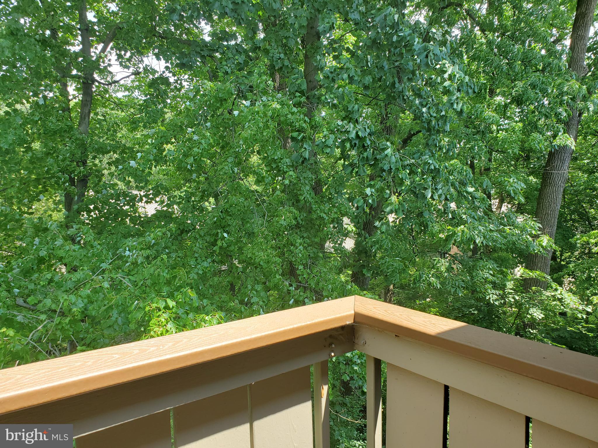 117 Cross Keys Road, Unit R117F Baltimore, MD 21210 - Photo 30 of 34 Gallery Image 30