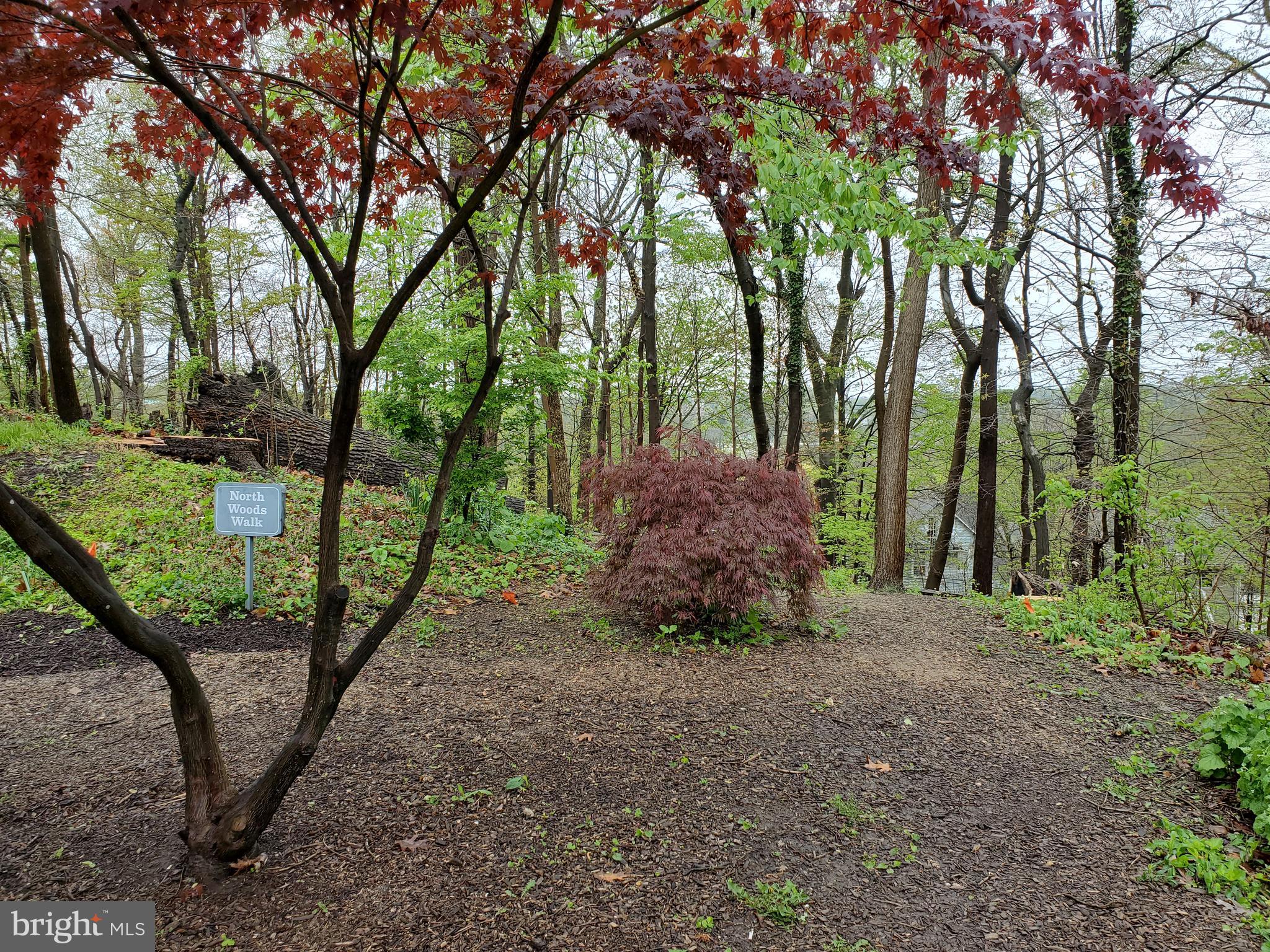 117 Cross Keys Road, Unit R117F Baltimore, MD 21210 - Photo 32 of 34 Walking/Jogging Path right next to #117