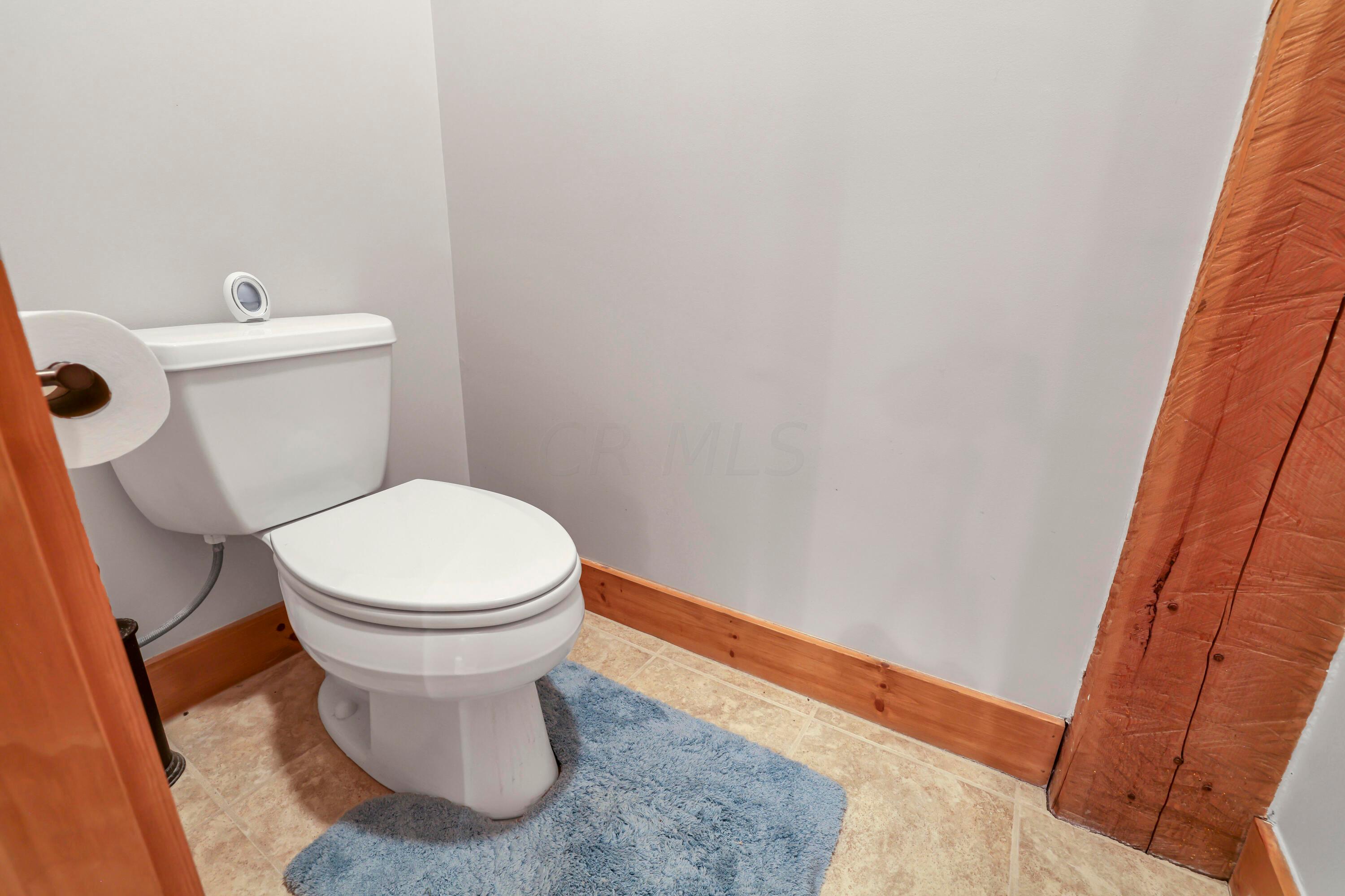 10985 Clearport Road Southwest Amanda, OH 43102 - Photo 53 of 126 Separate toilet closet