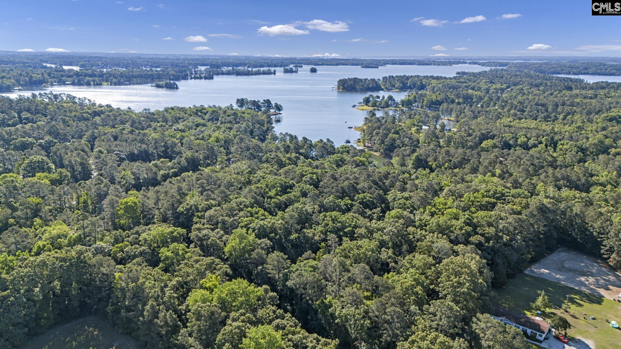 0 Lominack Road Prosperity, SC 29127 - Photo 7 of 19