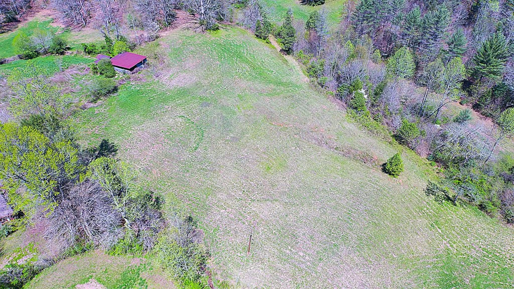 208 Odell Loop Murphy, NC 28906 - Photo 39 of 45